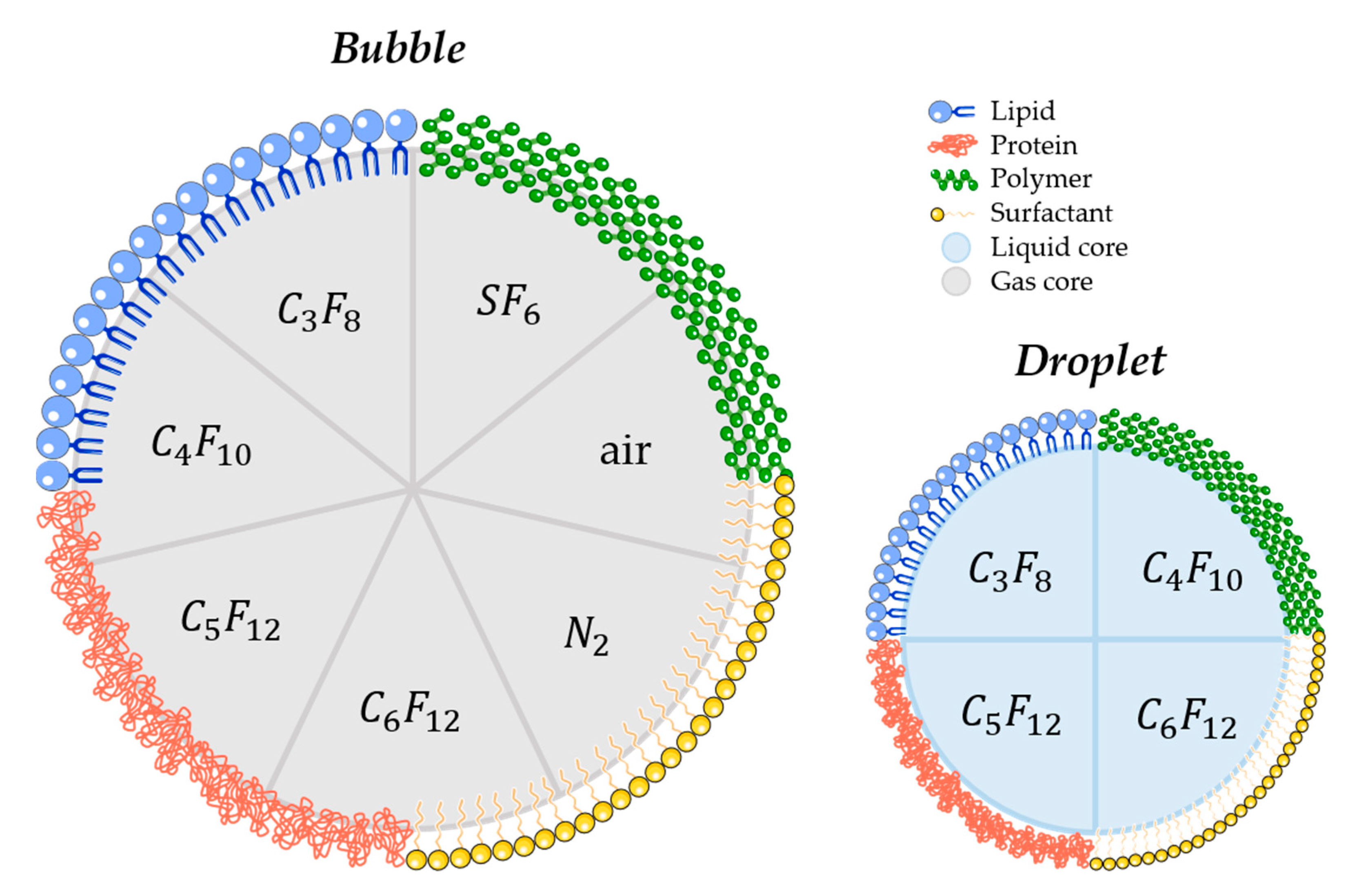 Pharmaceutics 12 01125 g004 Pharmaceutics 12 01125 g004