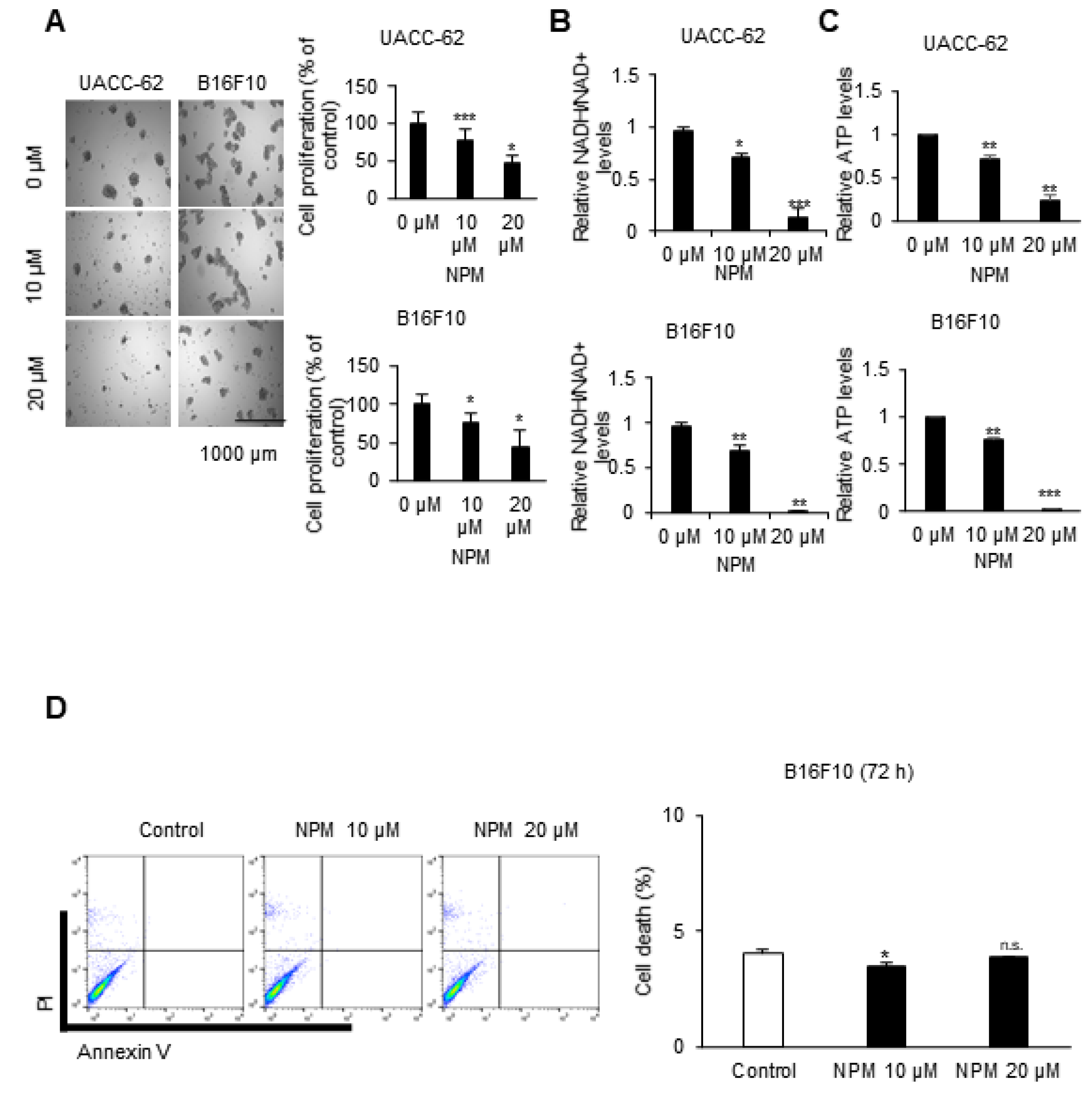 Pharmaceutics 12 01128 g003