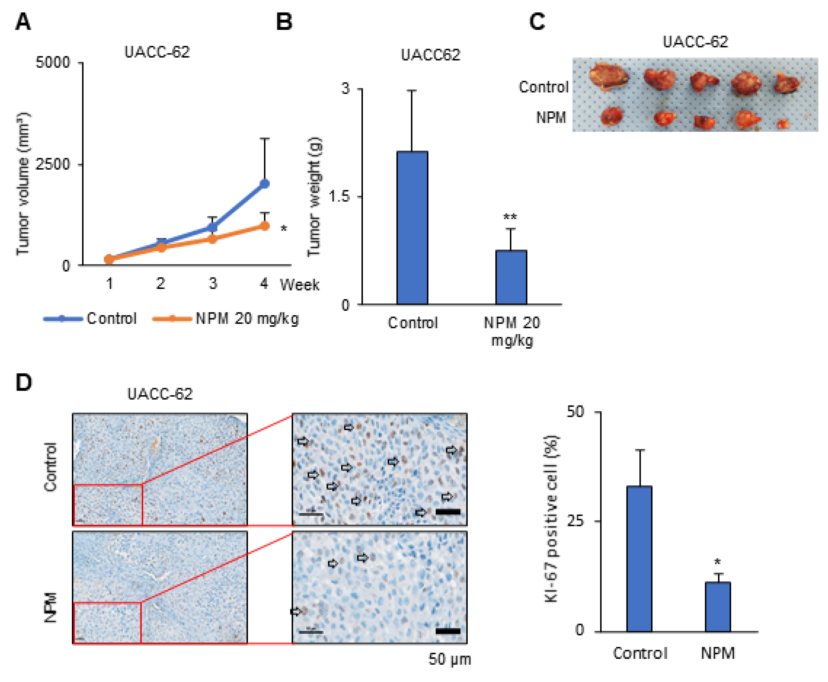 Pharmaceutics 12 01128 g004