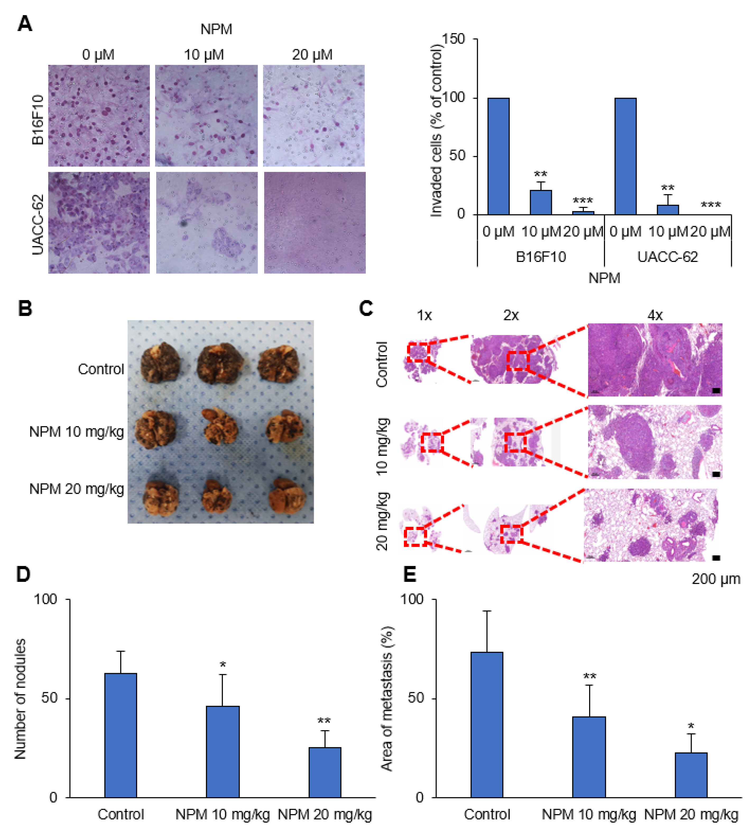 Pharmaceutics 12 01128 g005