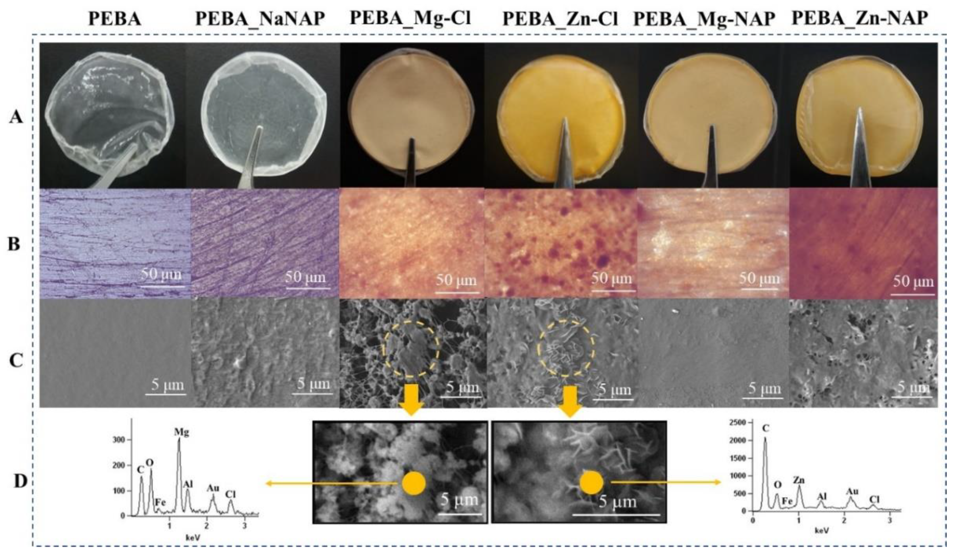 Pharmaceutics 12 01130 g003