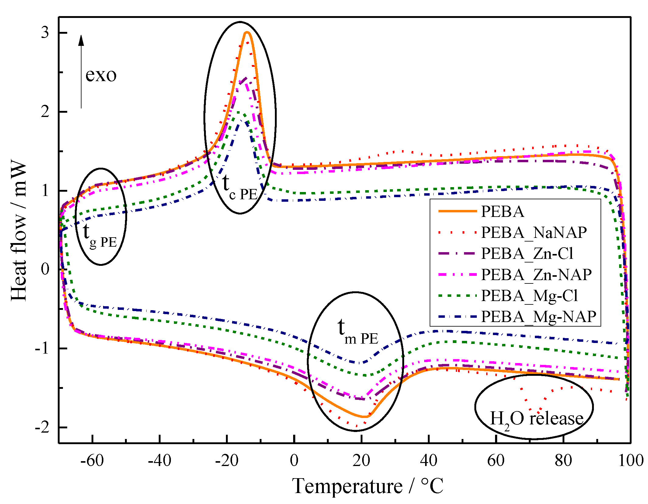 Pharmaceutics 12 01130 g005