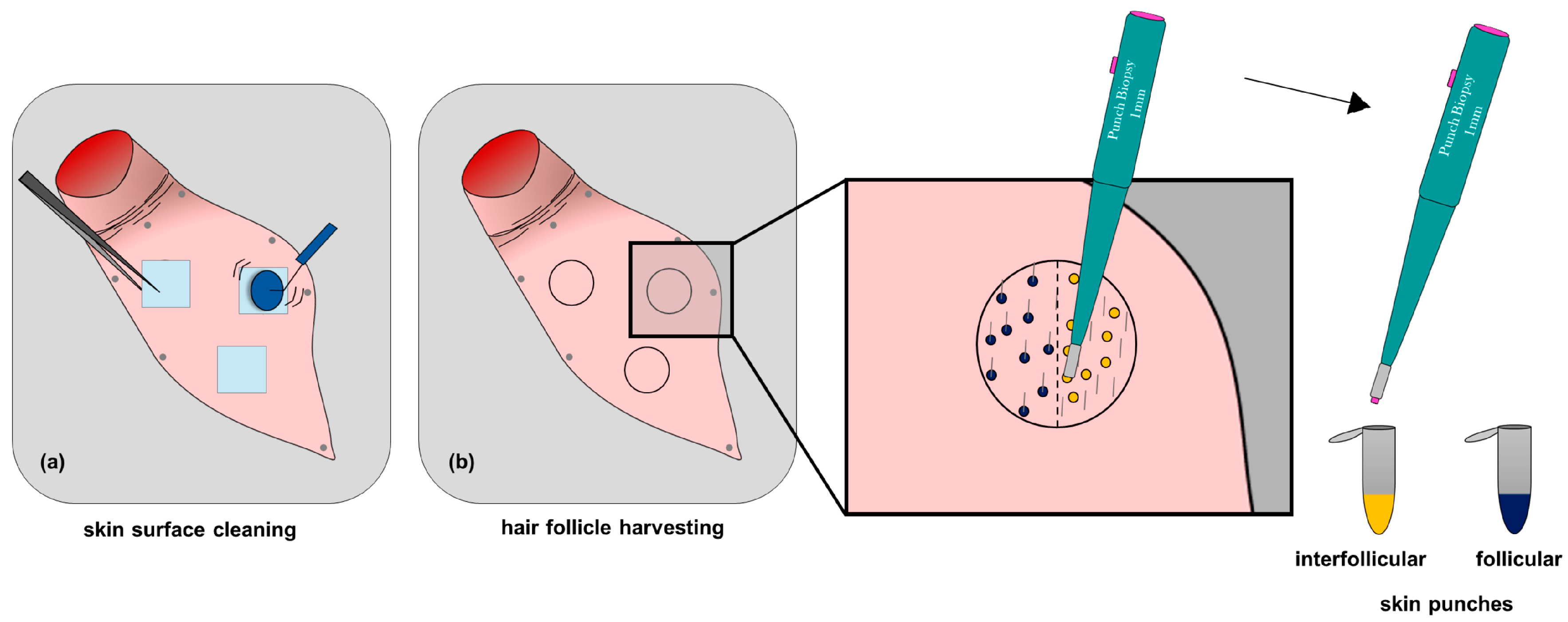 Pharmaceutics 12 01131 sch001