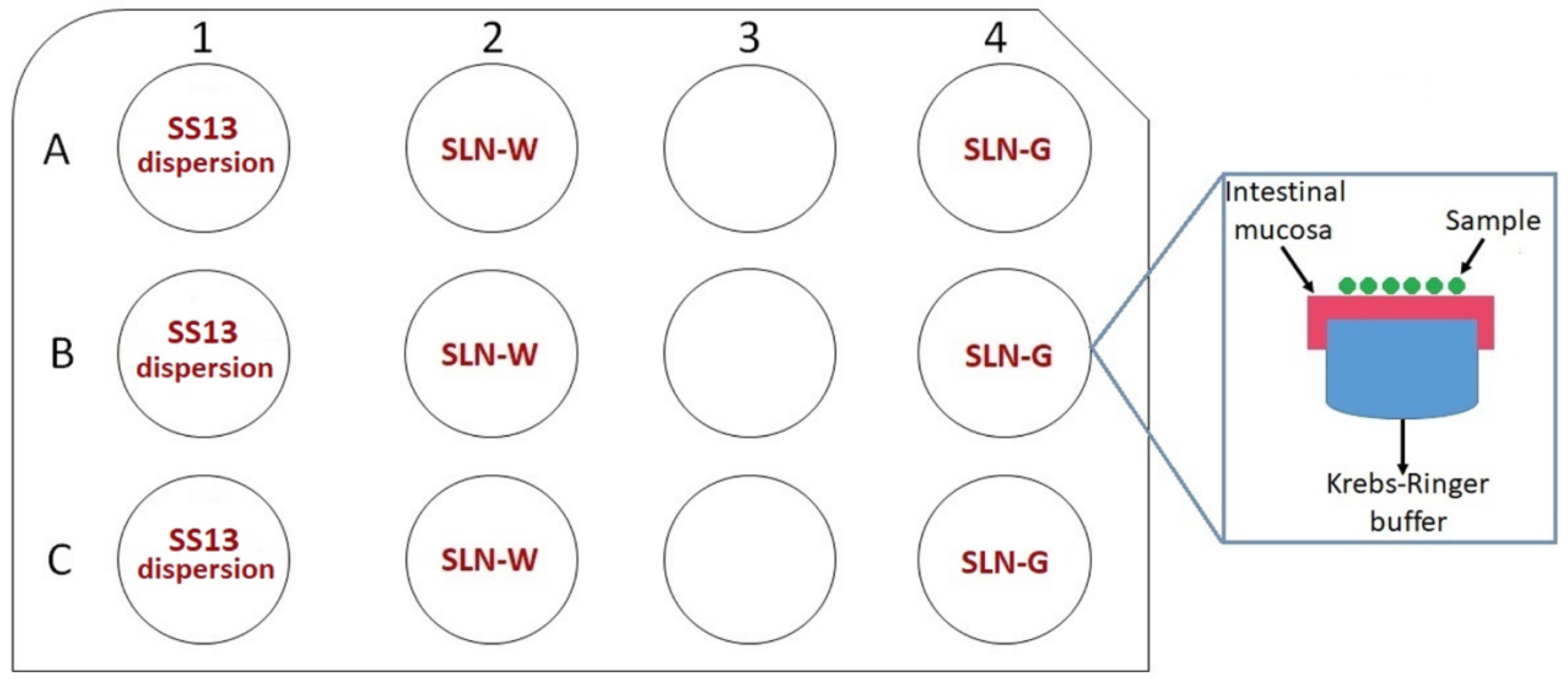 Pharmaceutics 12 01132 g001