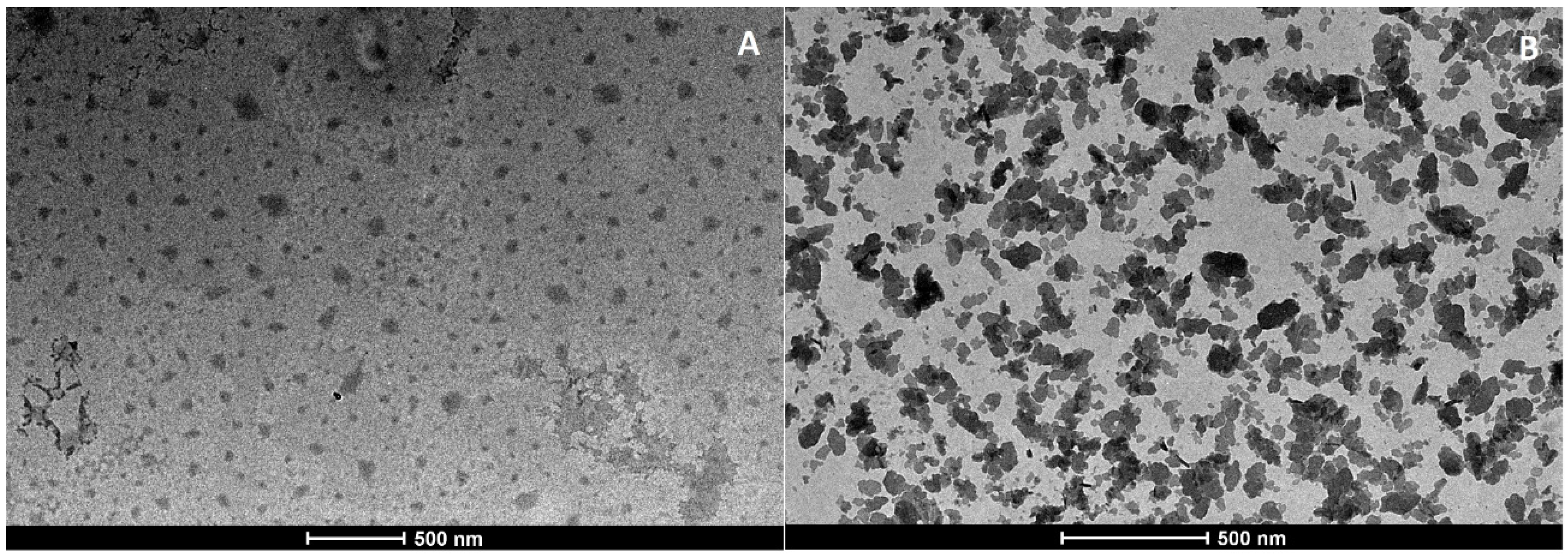 Pharmaceutics 12 01132 g003