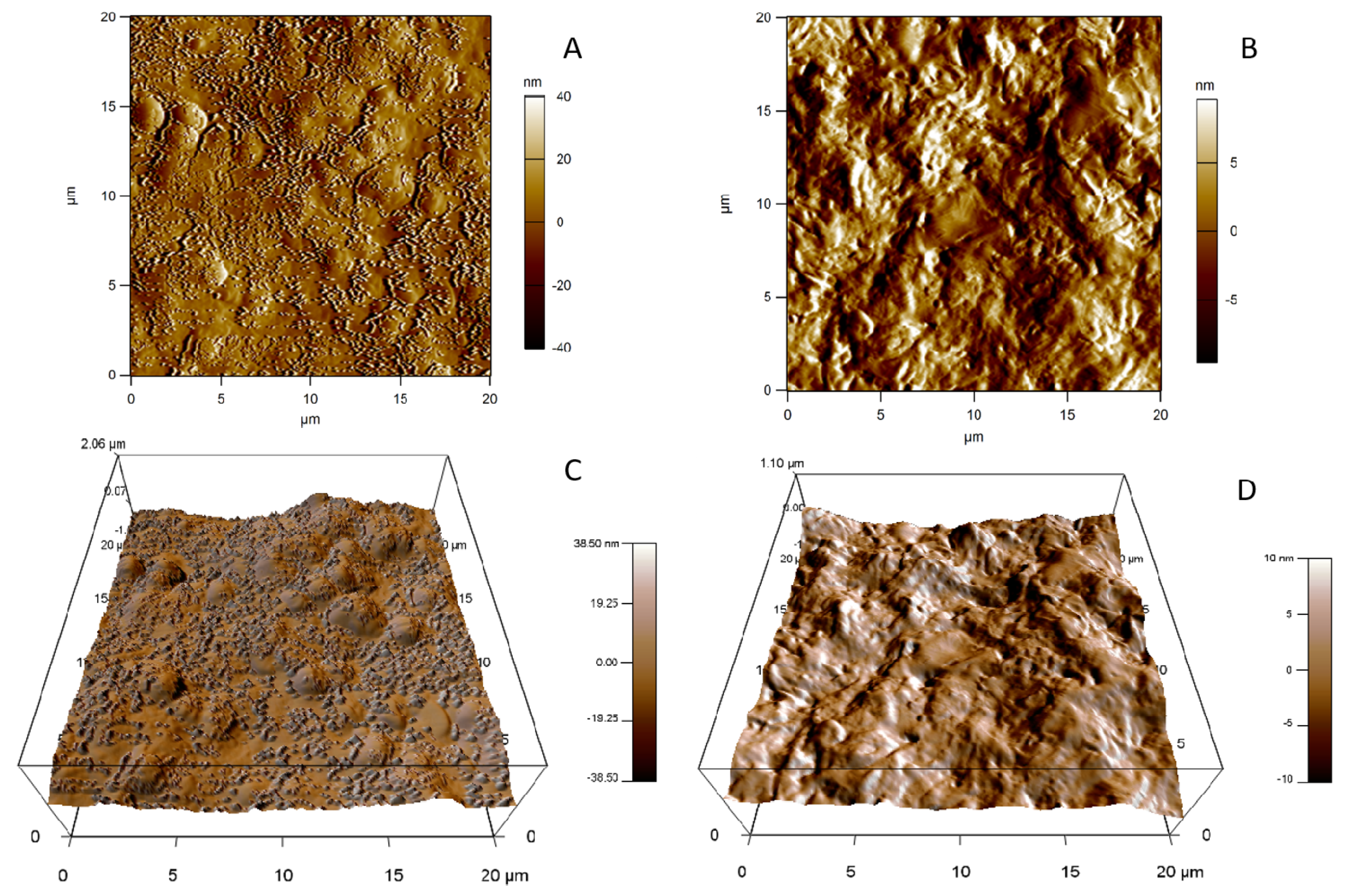 Pharmaceutics 12 01132 g004