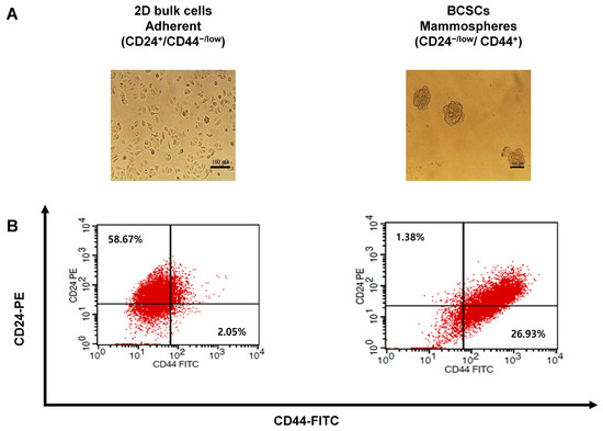 Repurposing of Fluvastatin as an Anticancer Agent against