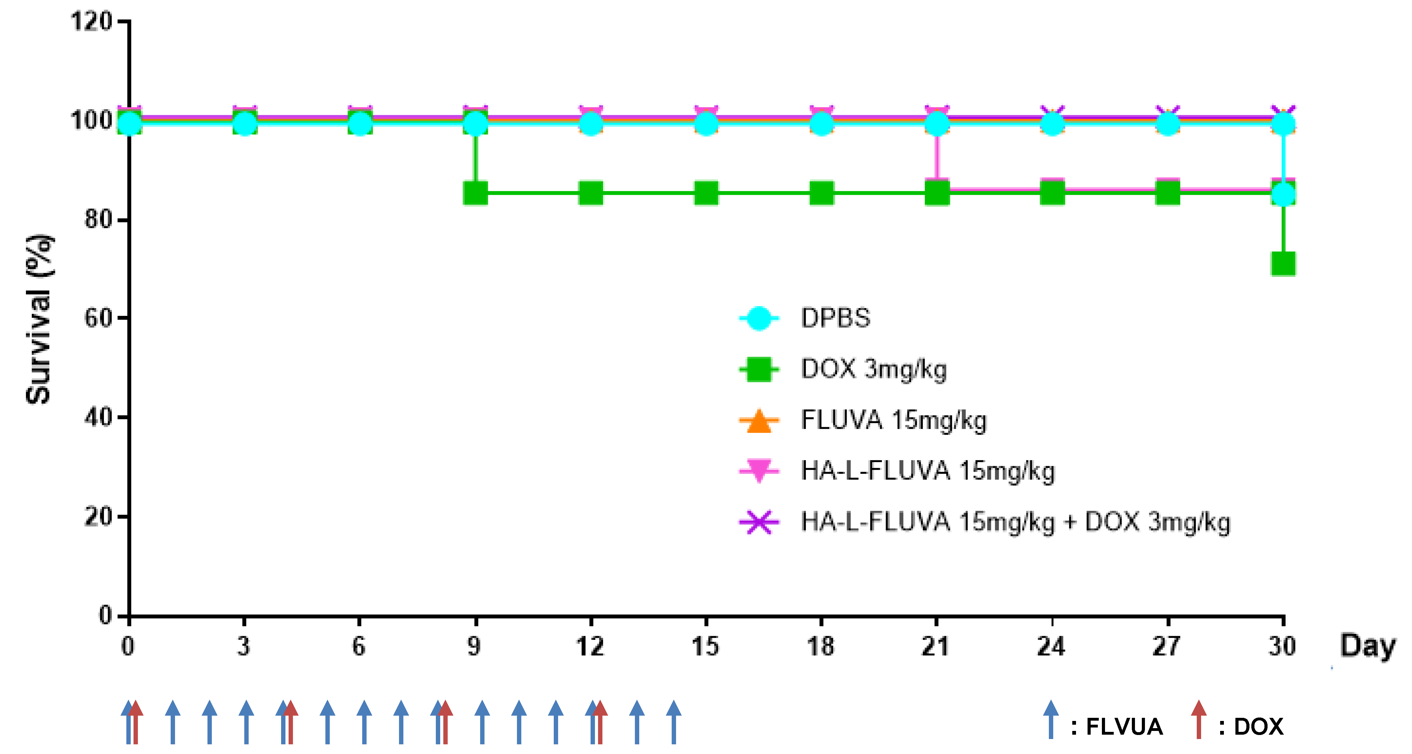 Pharmaceutics 12 01133 g005