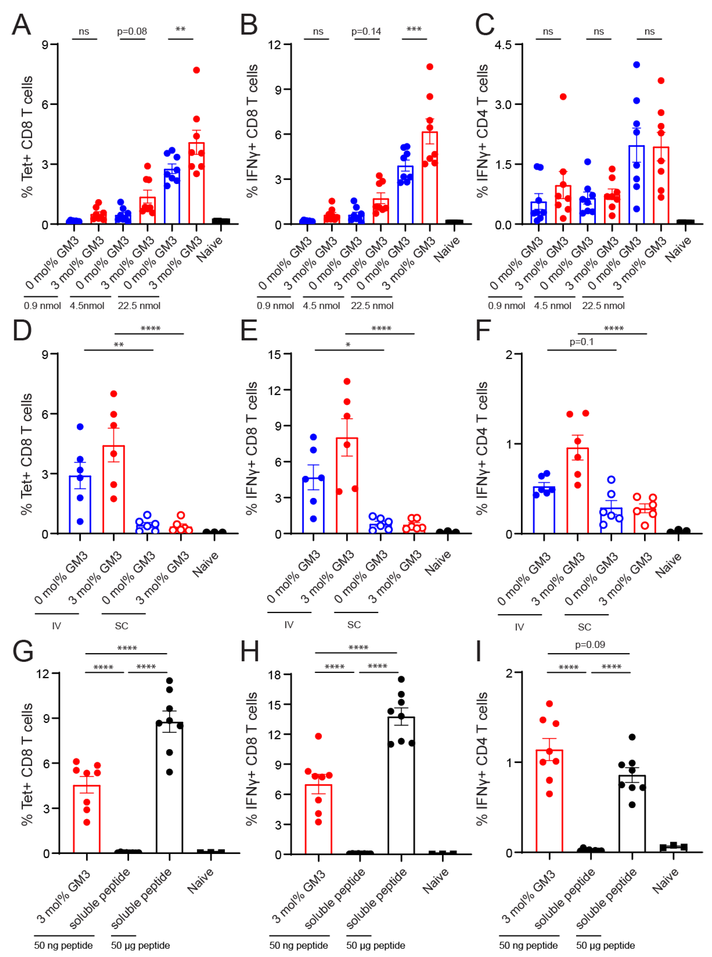 Pharmaceutics 12 01138 g005