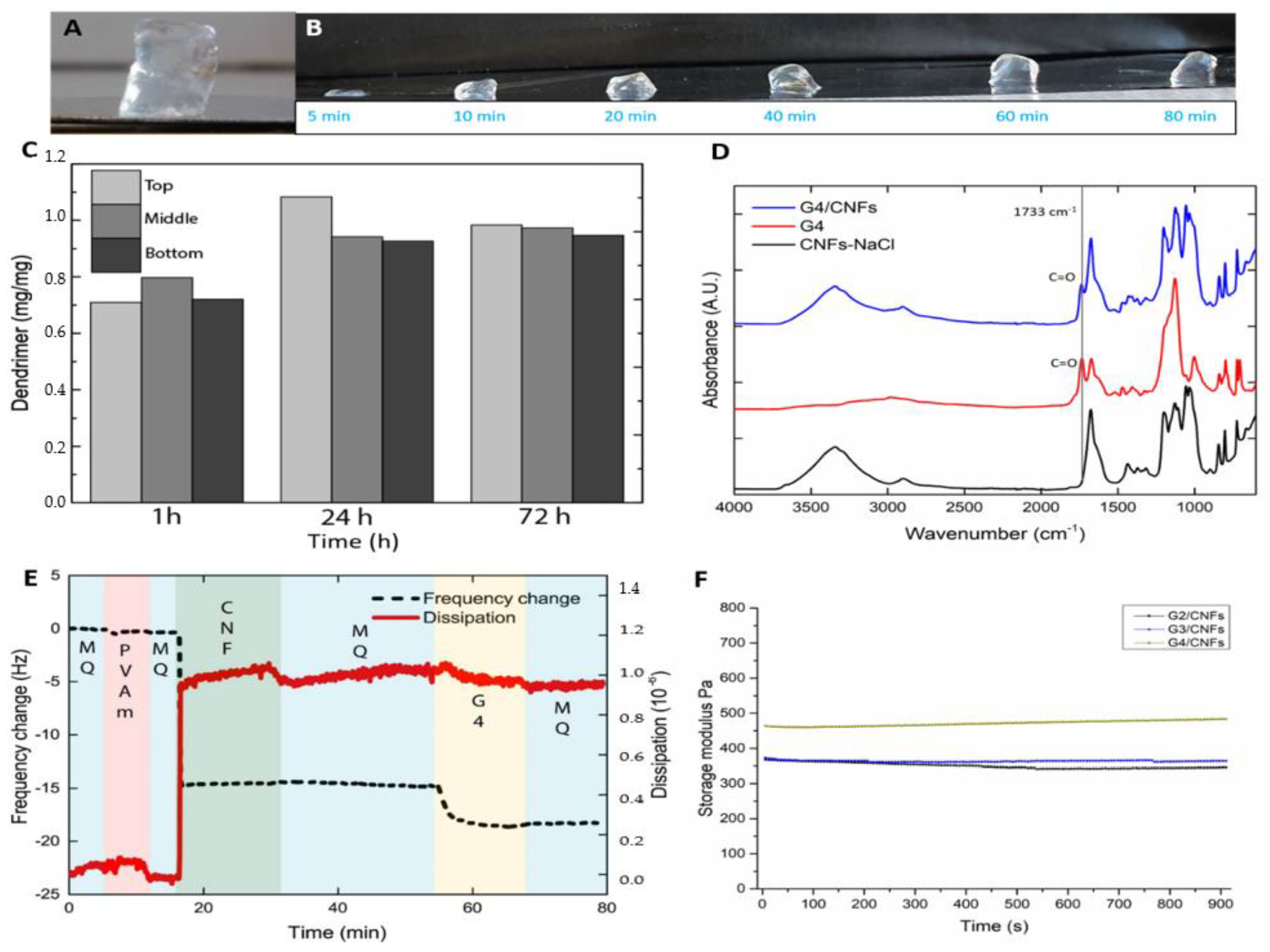 Pharmaceutics 12 01139 g002