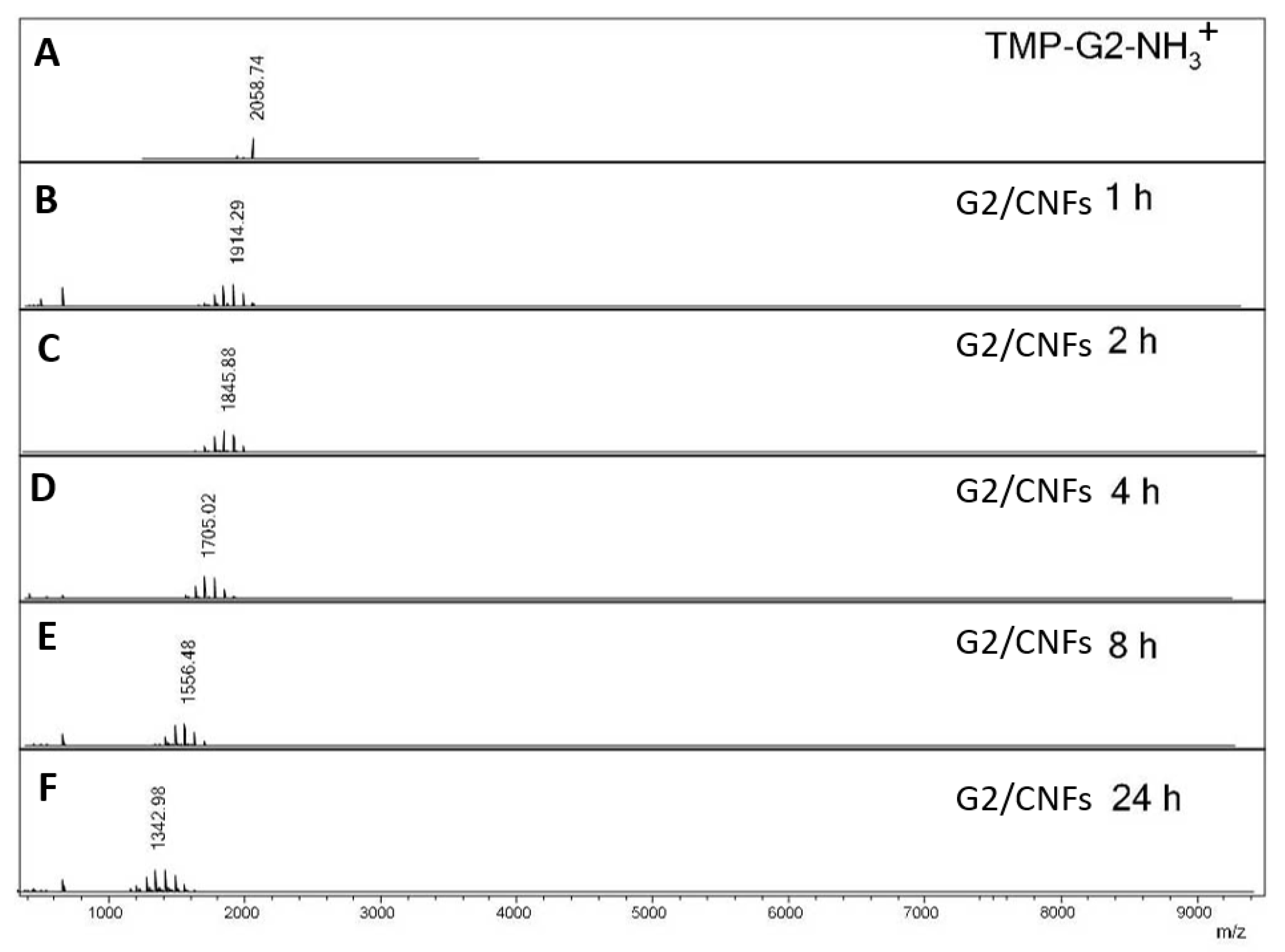 Pharmaceutics 12 01139 g003