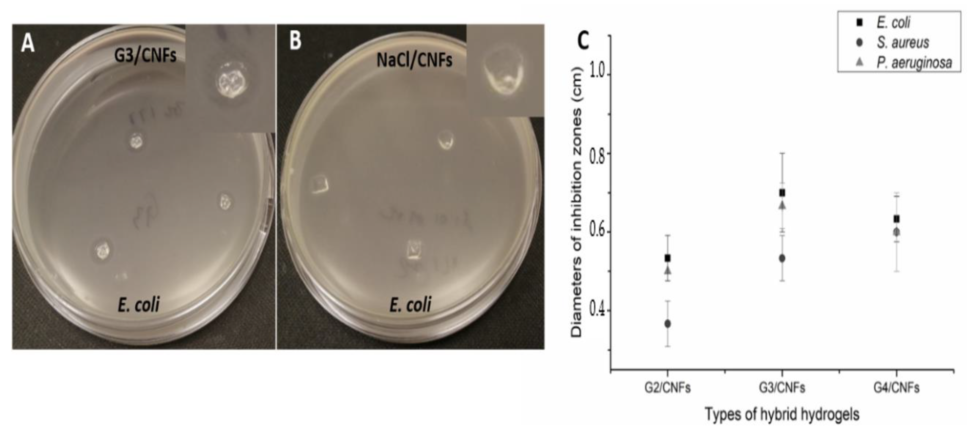 Pharmaceutics 12 01139 g004