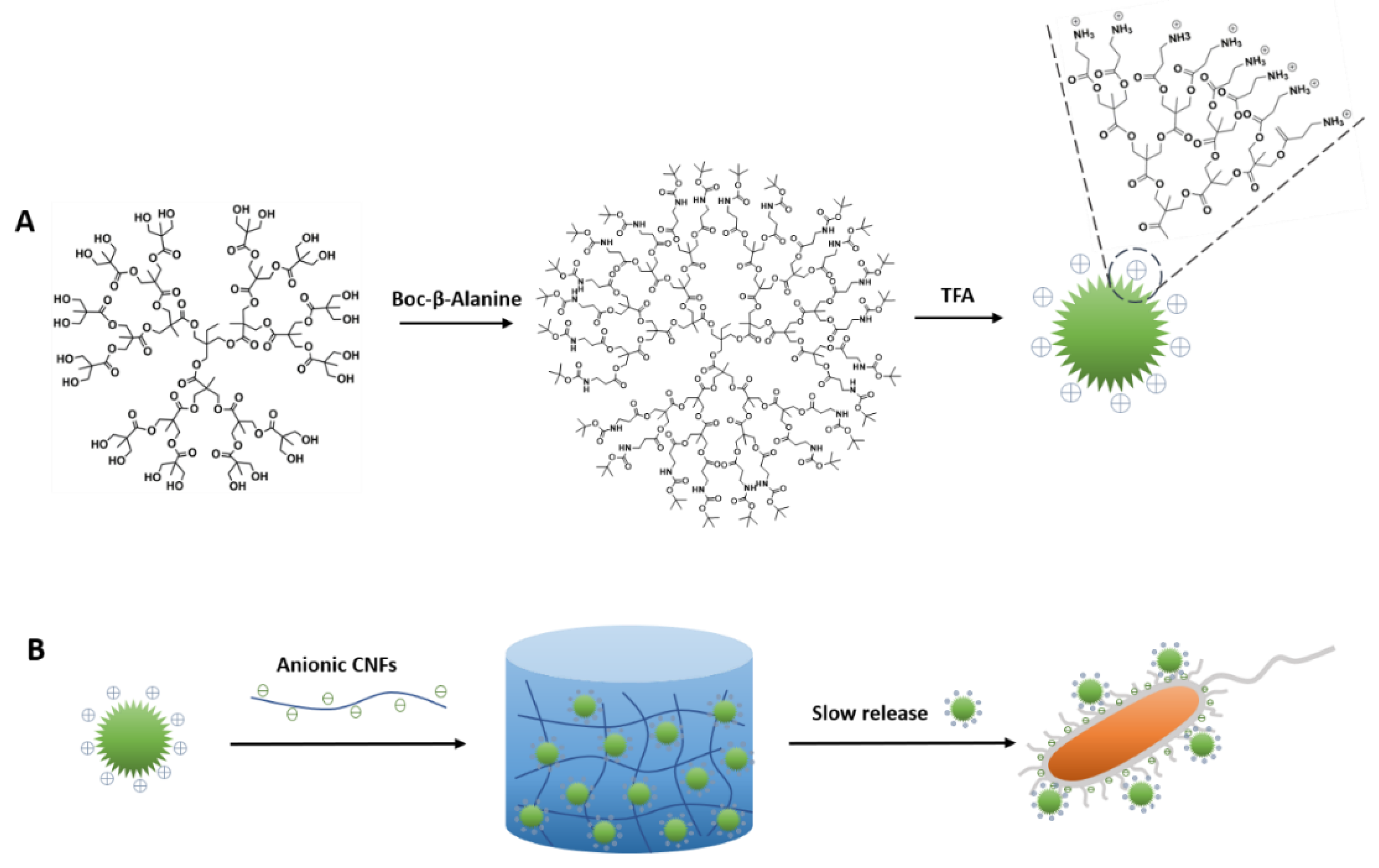Pharmaceutics 12 01139 sch001
