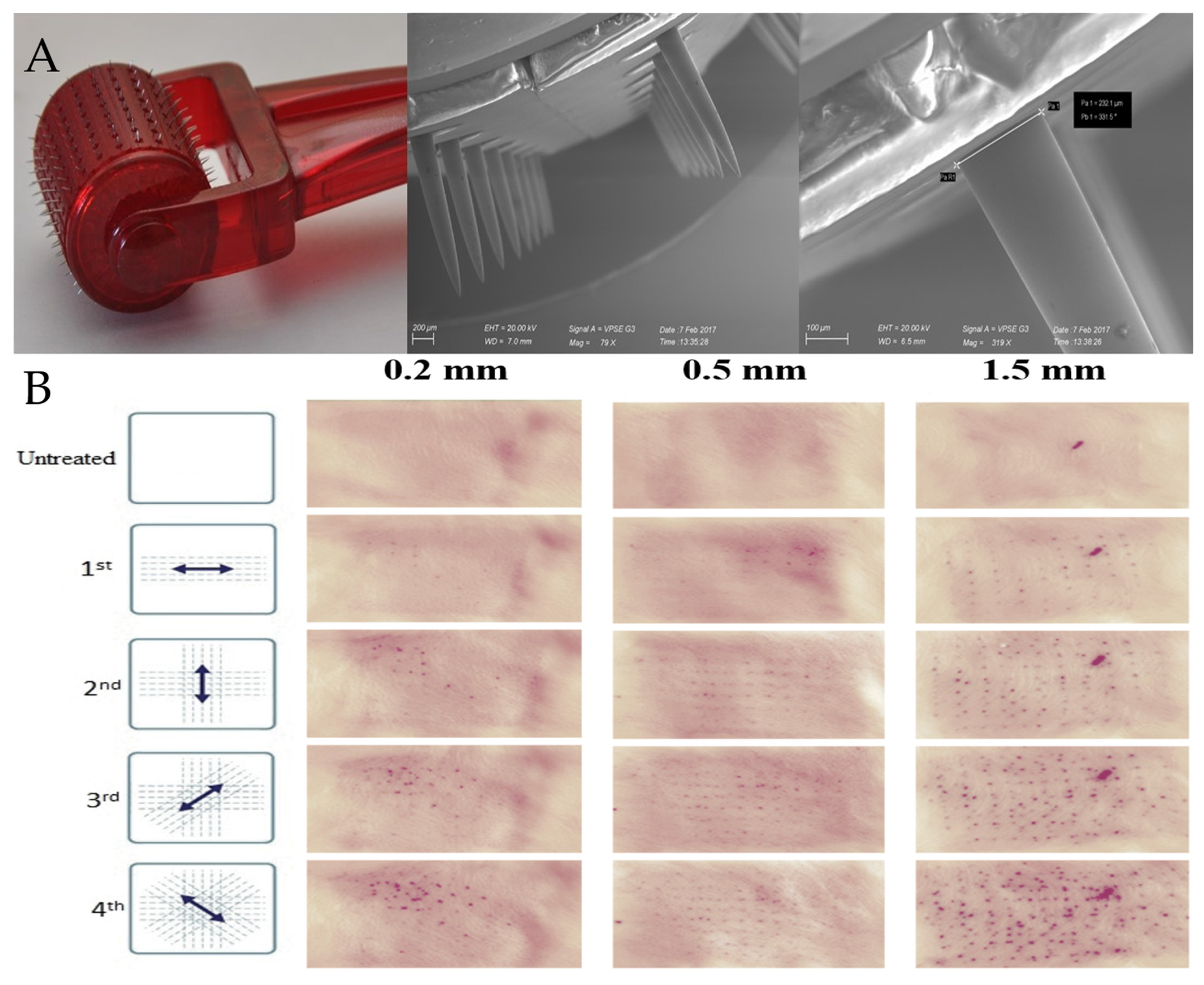 Pharmaceutics 12 01140 g002