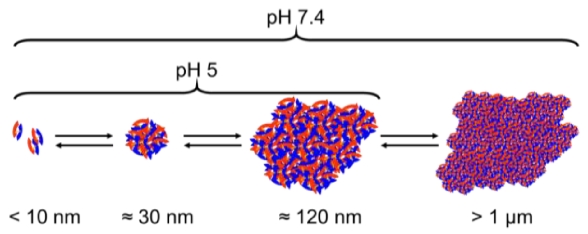 Pharmaceutics 12 01143 g013