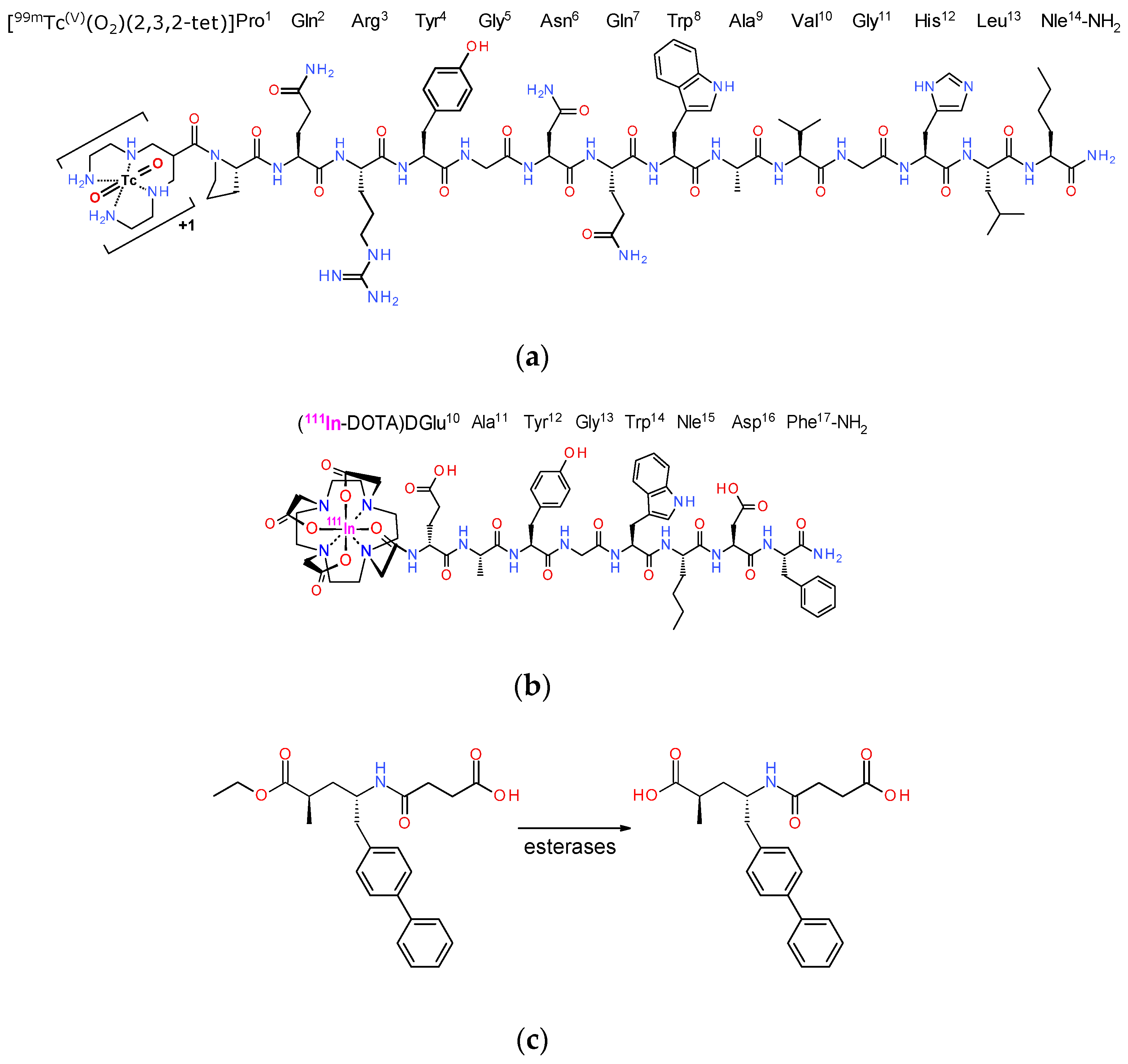 Pharmaceutics 12 01145 g001 Pharmaceutics 12 01145 g001