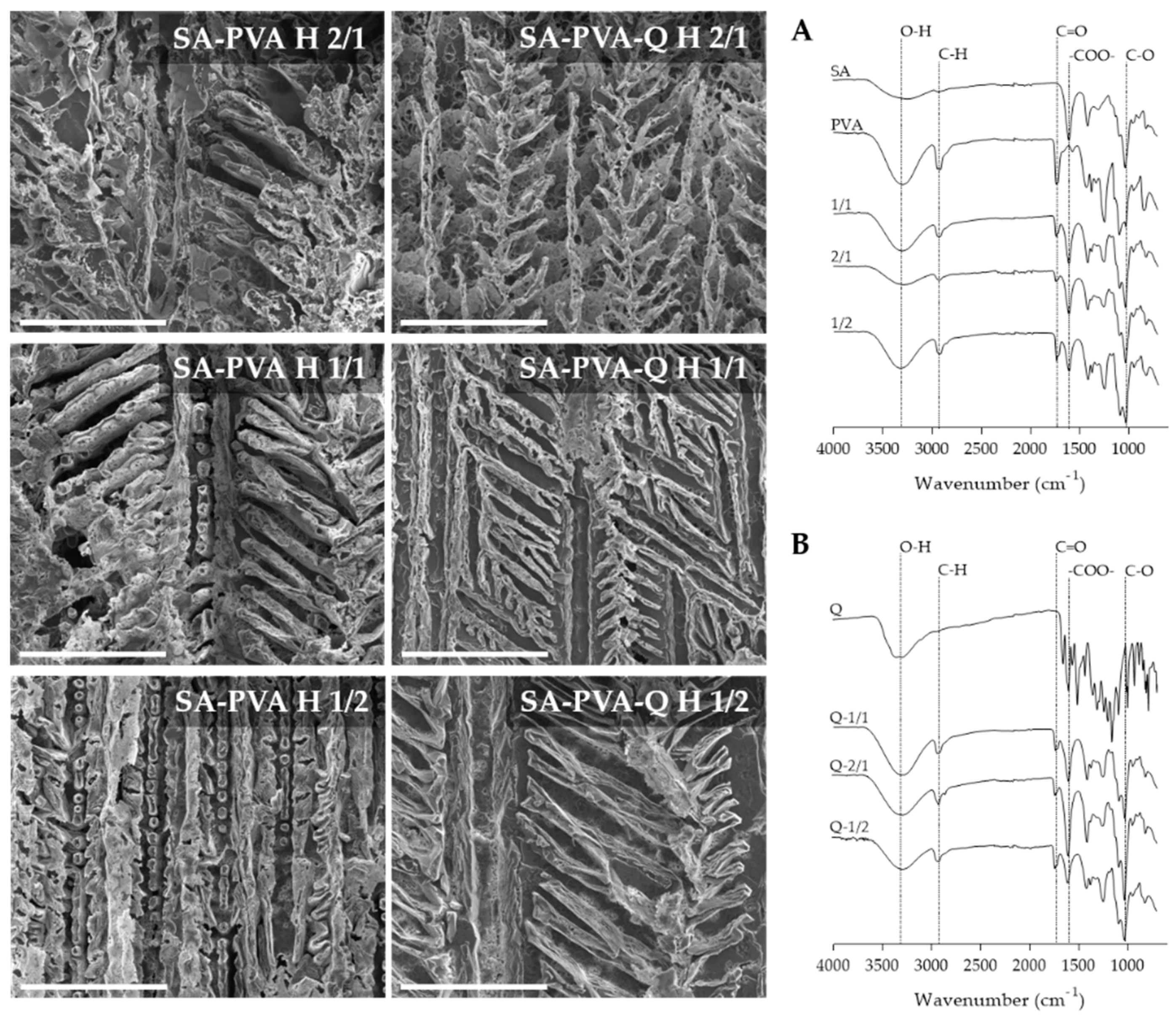Pharmaceutics 12 01149 g001 Pharmaceutics 12 01149 g001