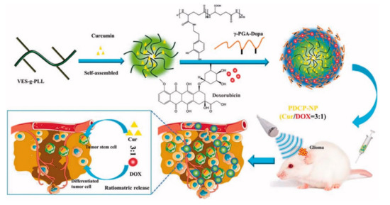 Pharmaceutics 12 01156 g003 550