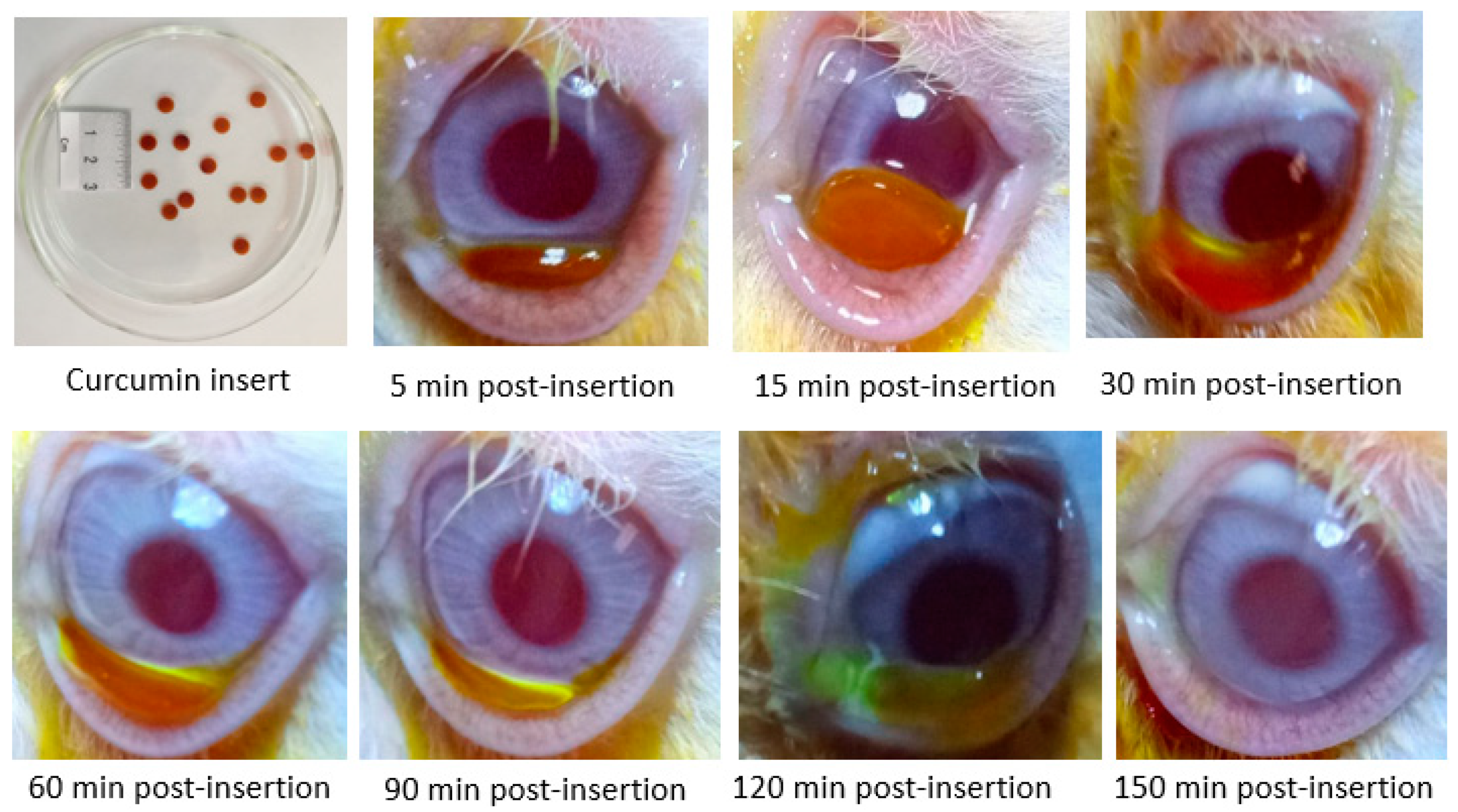 Pharmaceutics 12 01158 g010 Pharmaceutics 12 01158 g010