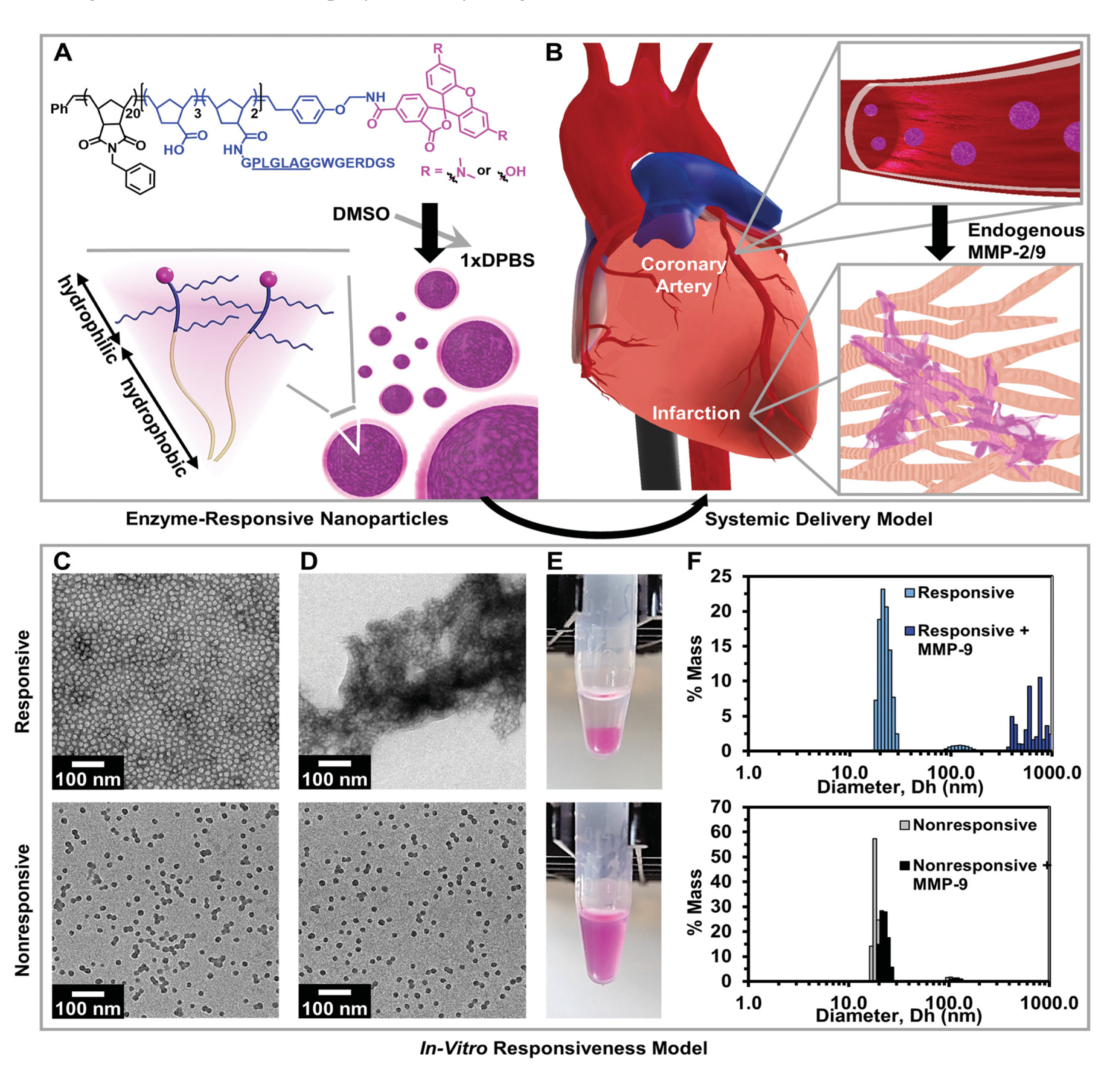 Pharmaceutics 12 01160 g001