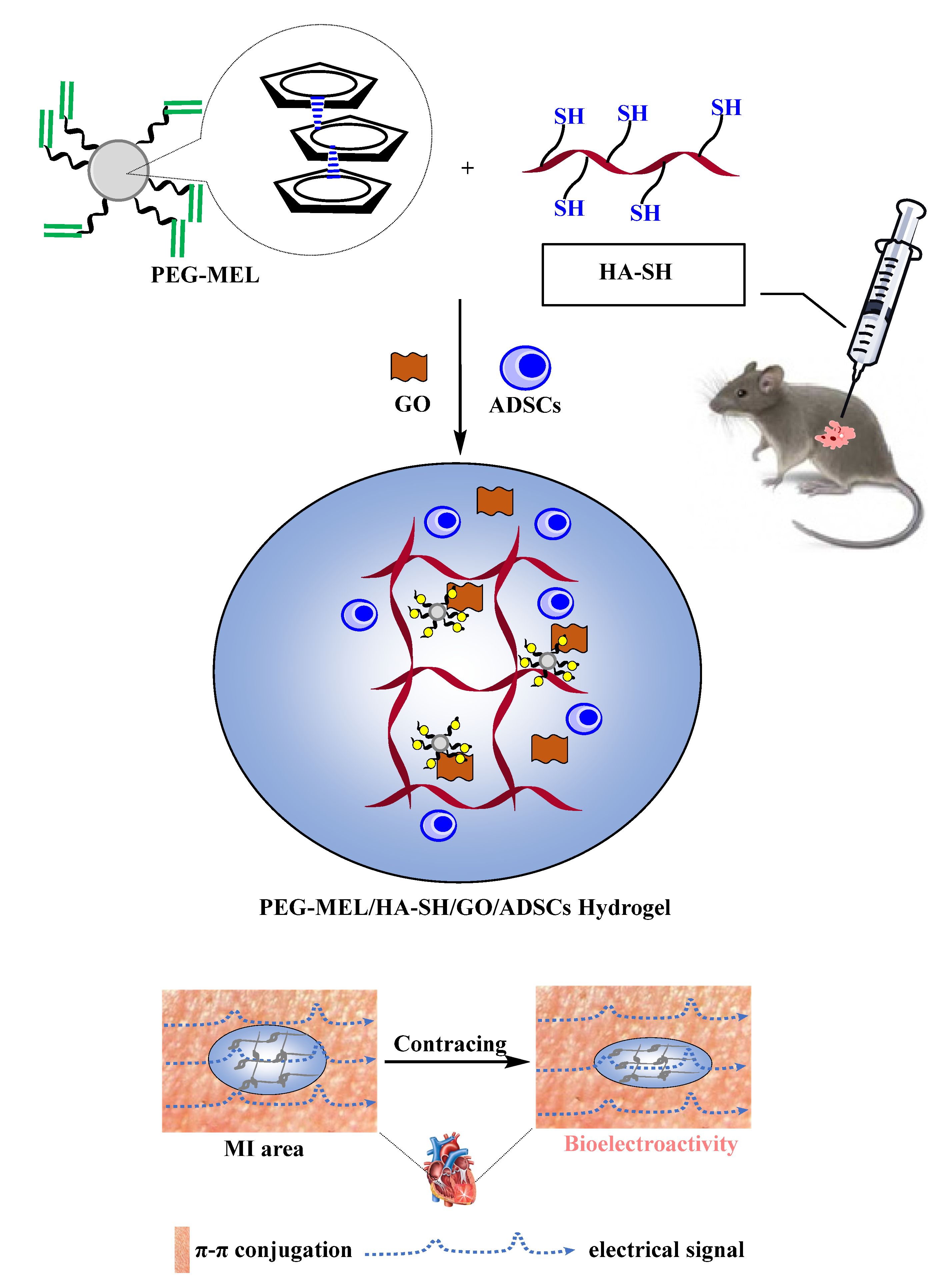 Pharmaceutics 12 01160 g002