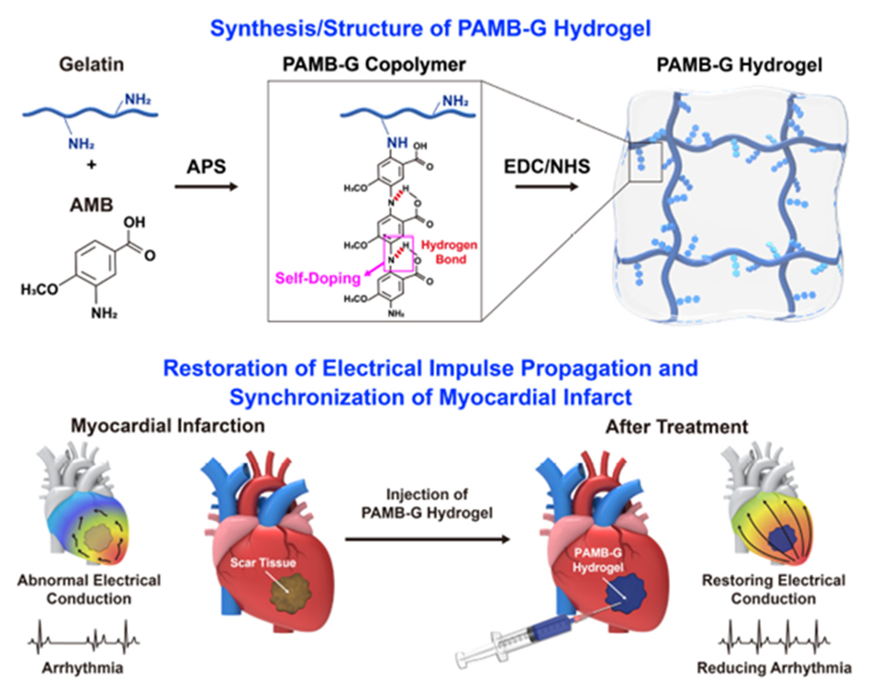 Pharmaceutics 12 01160 g003