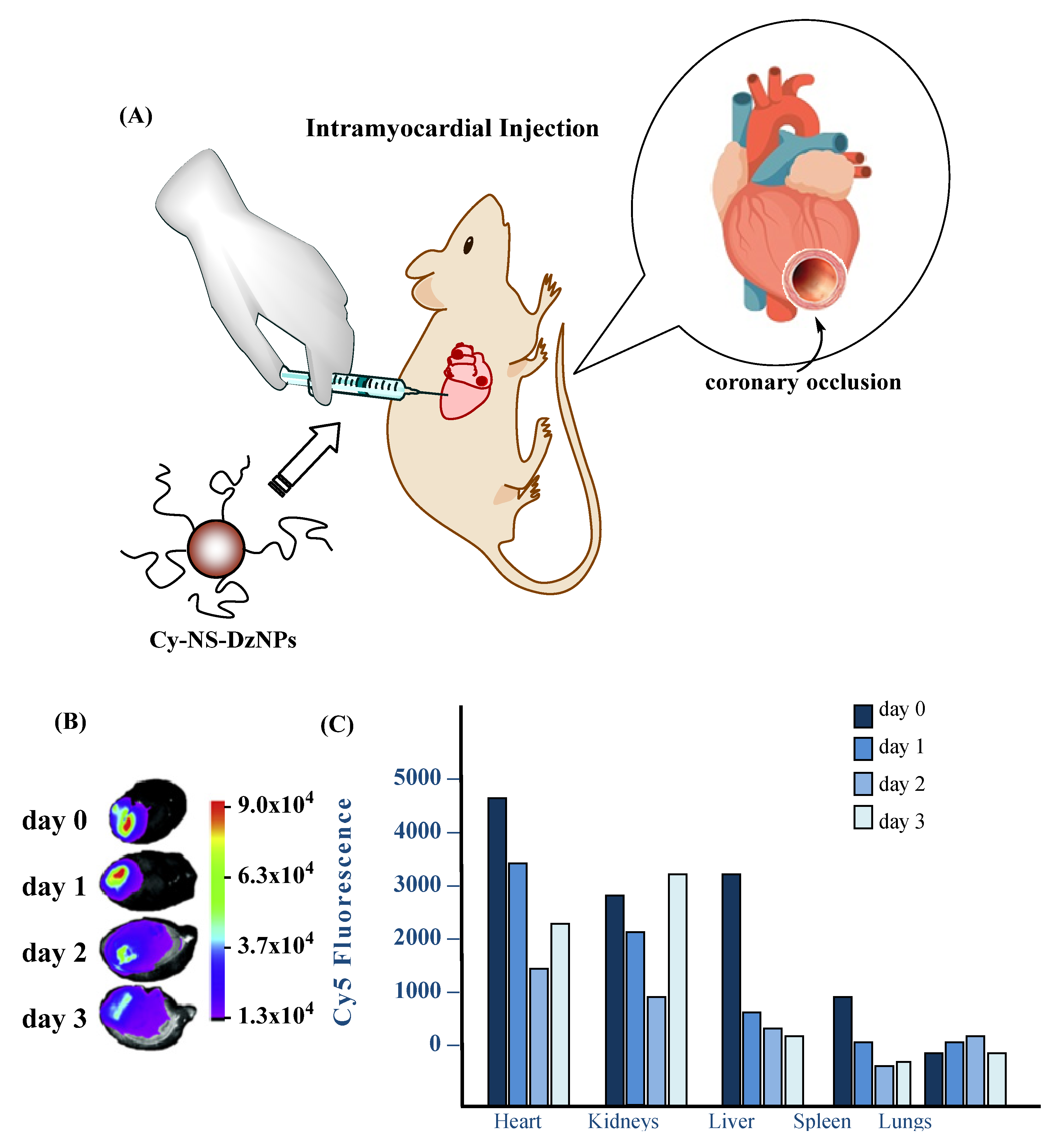 Pharmaceutics 12 01160 g005