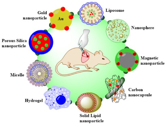 Pharmaceutics 12 01160 sch001 550