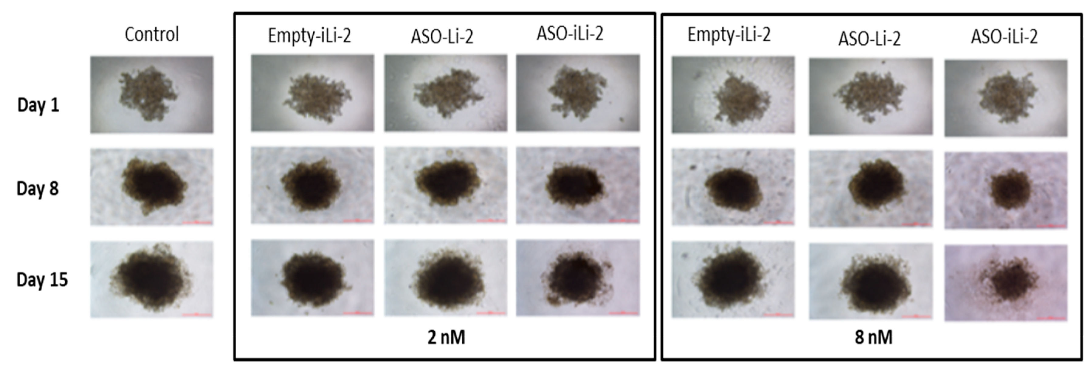 Pharmaceutics 12 01166 g011