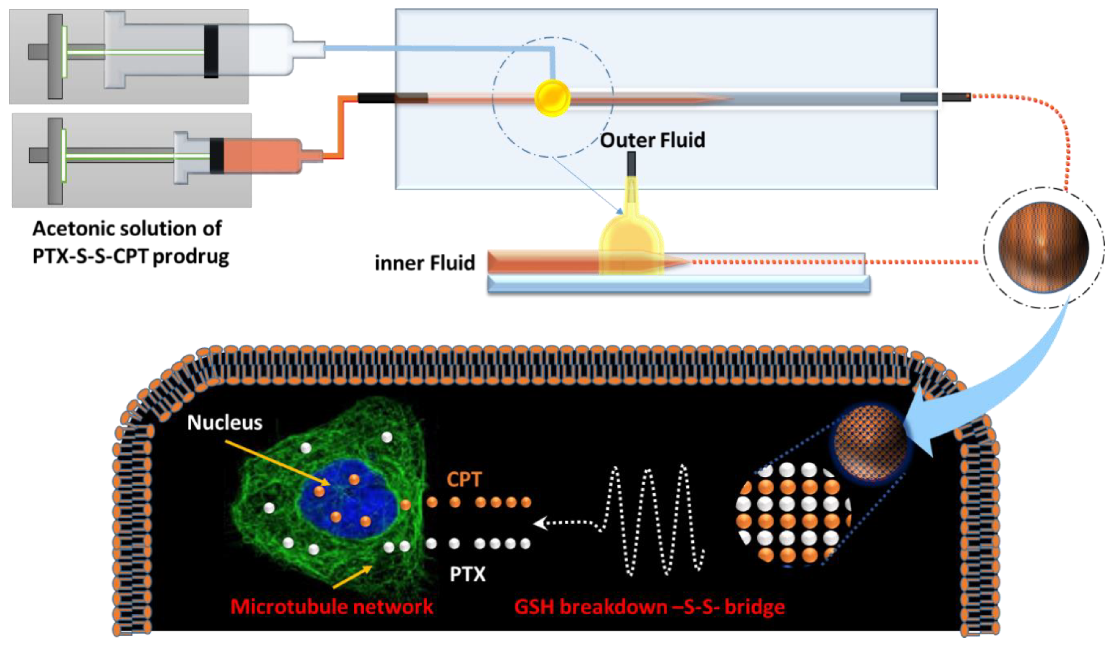 Pharmaceutics 12 01169 g001 Pharmaceutics 12 01169 g001