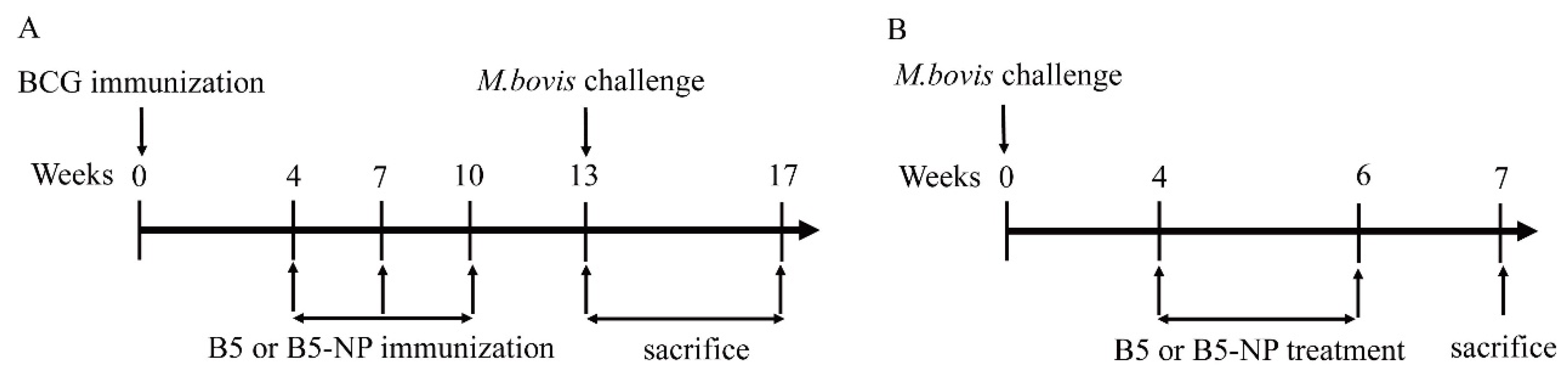 Pharmaceutics 12 01172 g001