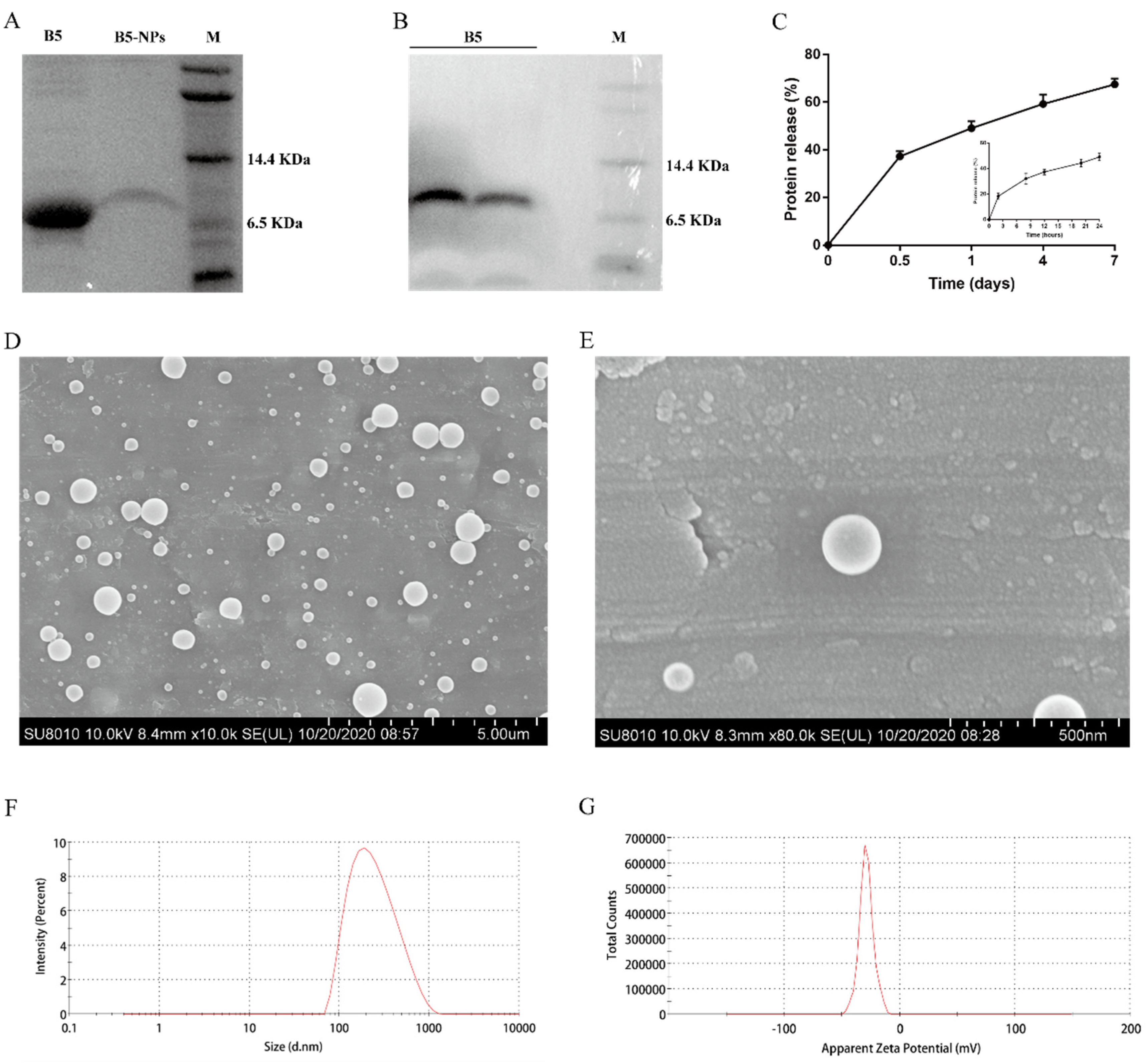 Pharmaceutics 12 01172 g002