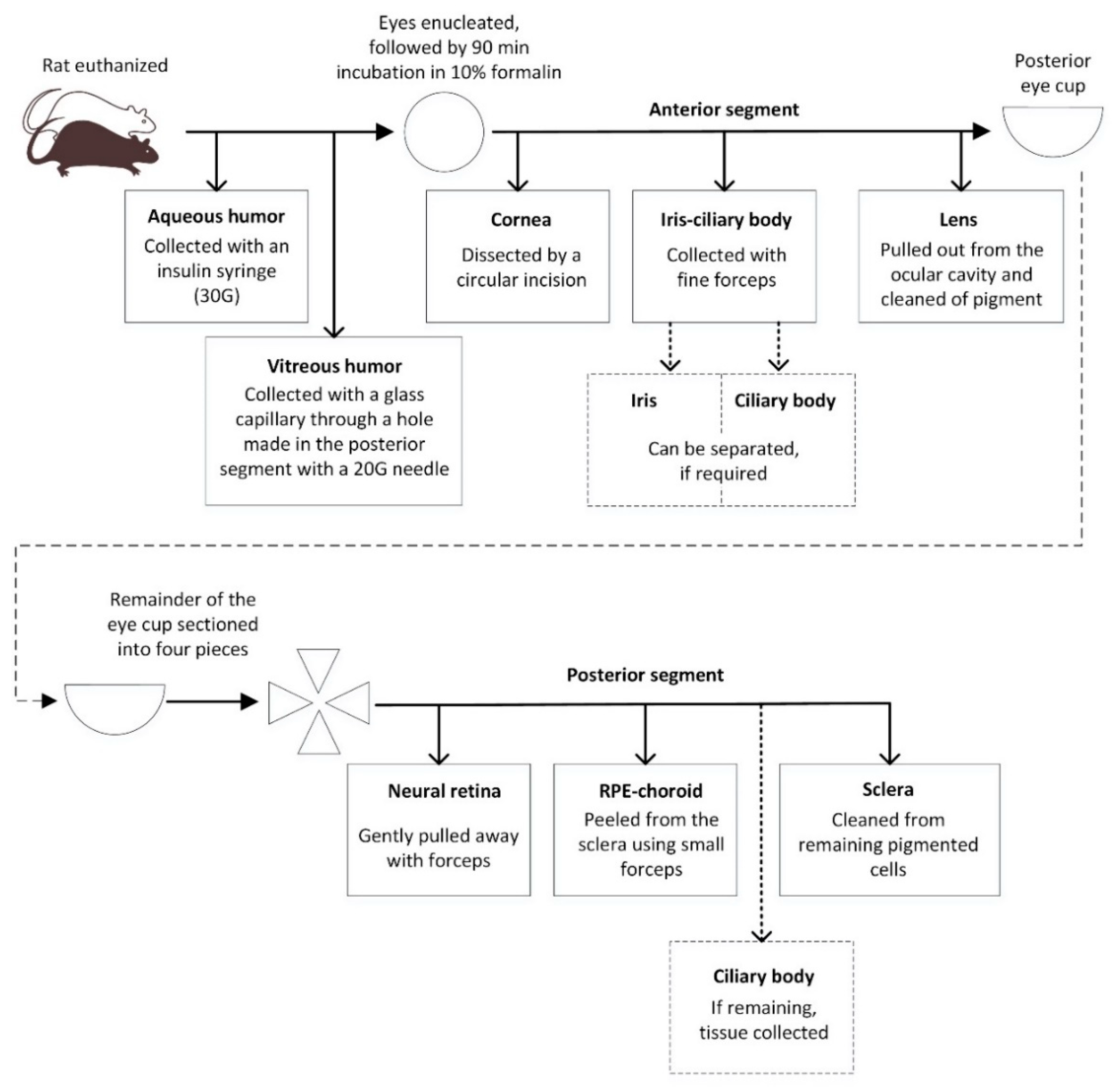 Pharmaceutics 12 01174 sch001