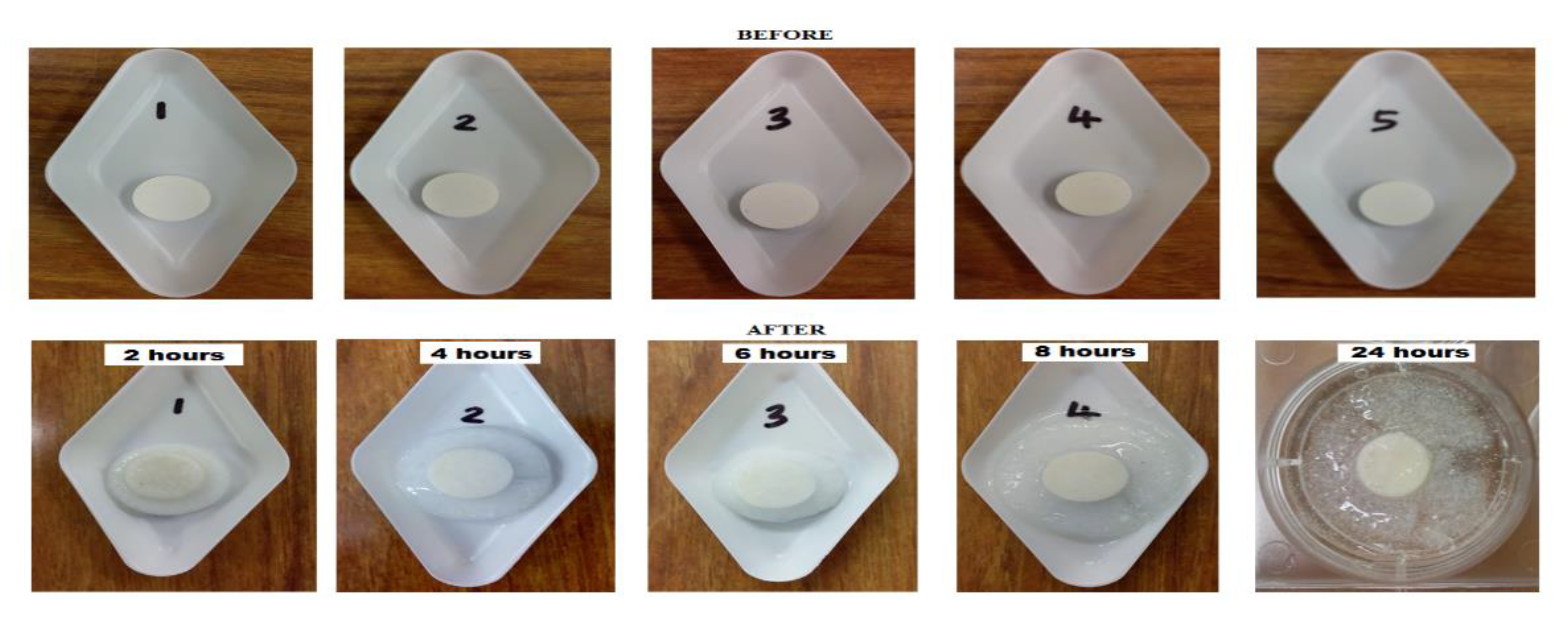 Pharmaceutics 12 01185 g003
