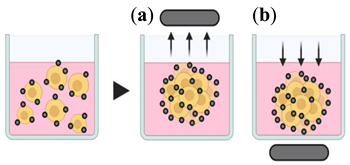 Pharmaceutics 12 01186 i003