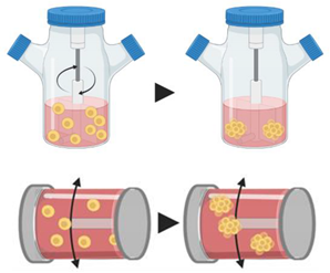 Pharmaceutics 12 01186 i004