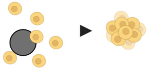Pharmaceutics 12 01186 i008