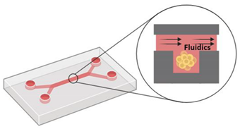 Pharmaceutics 12 01186 i009