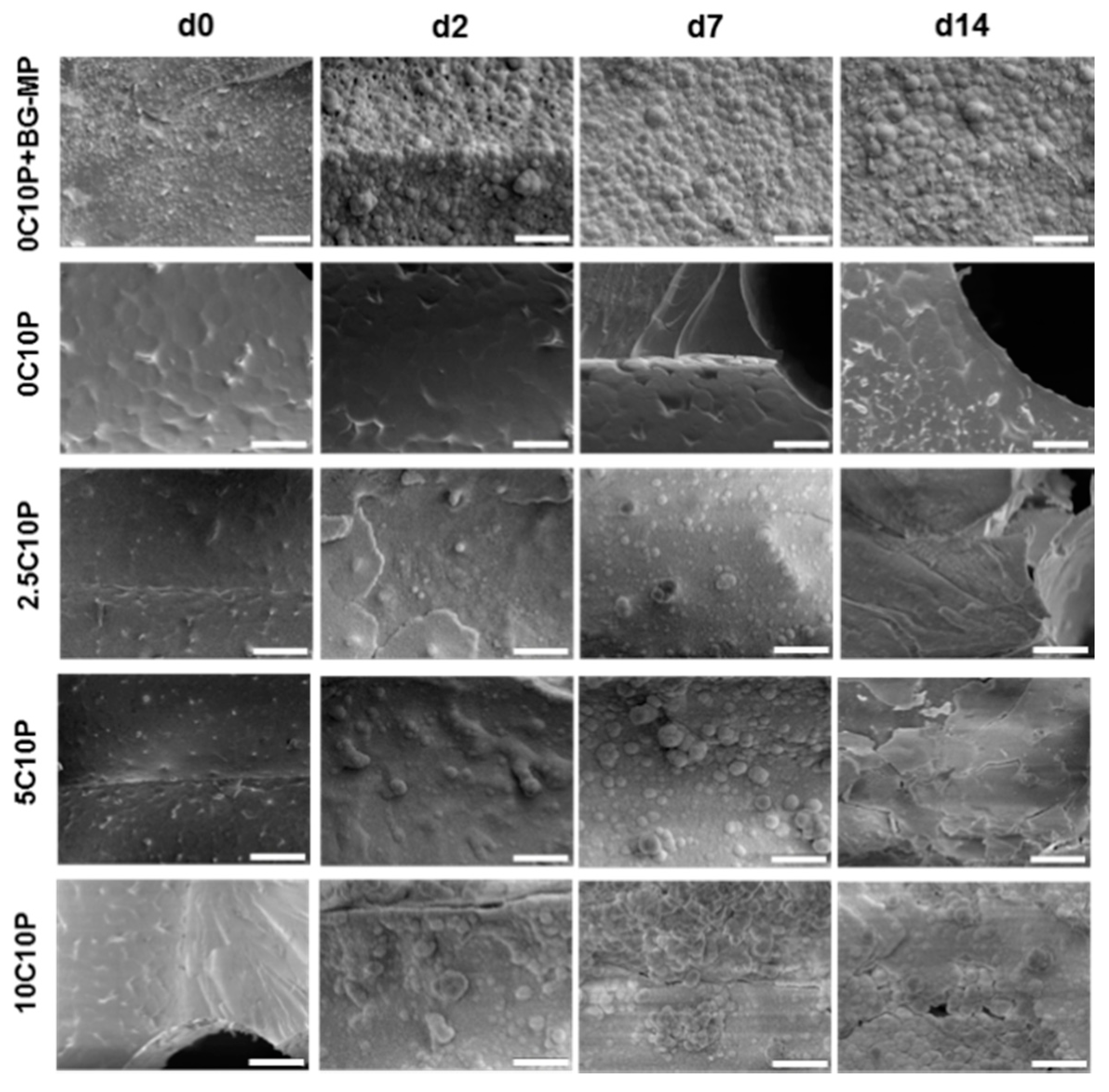 Pharmaceutics 12 01192 g002