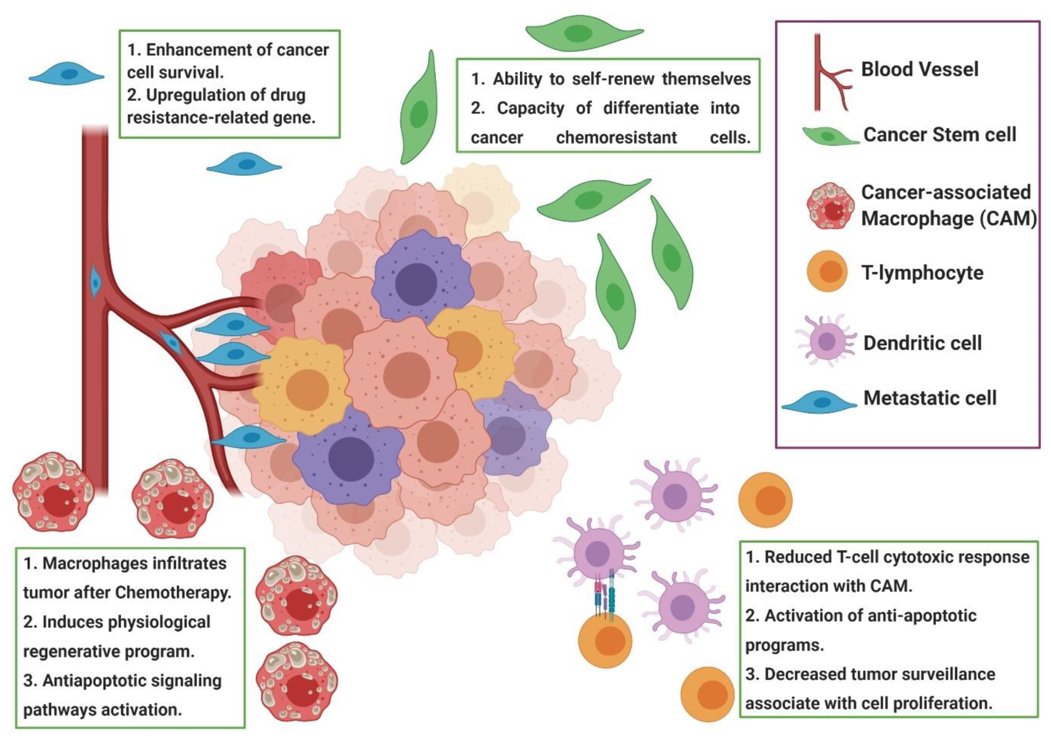 Pharmaceutics 12 01193 g001 Pharmaceutics 12 01193 g001