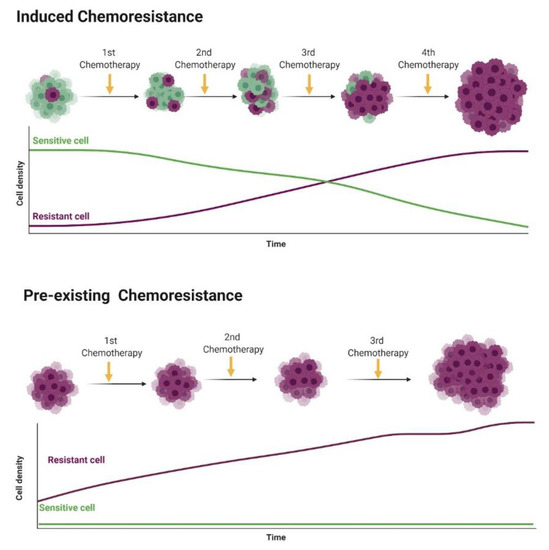 Pharmaceutics 12 01193 g002 550