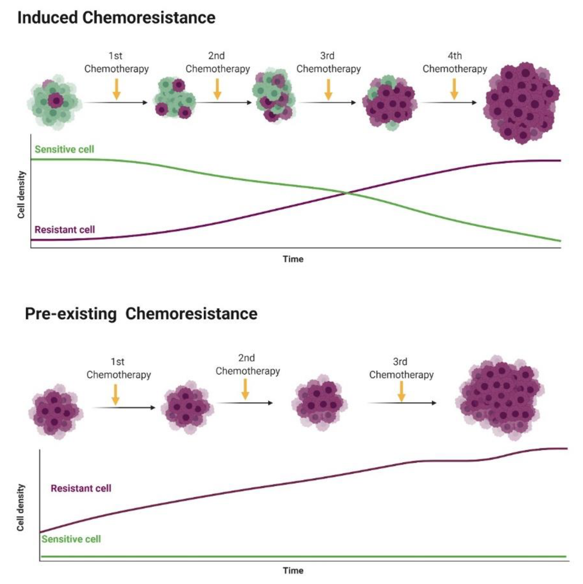 Pharmaceutics 12 01193 g002 Pharmaceutics 12 01193 g002