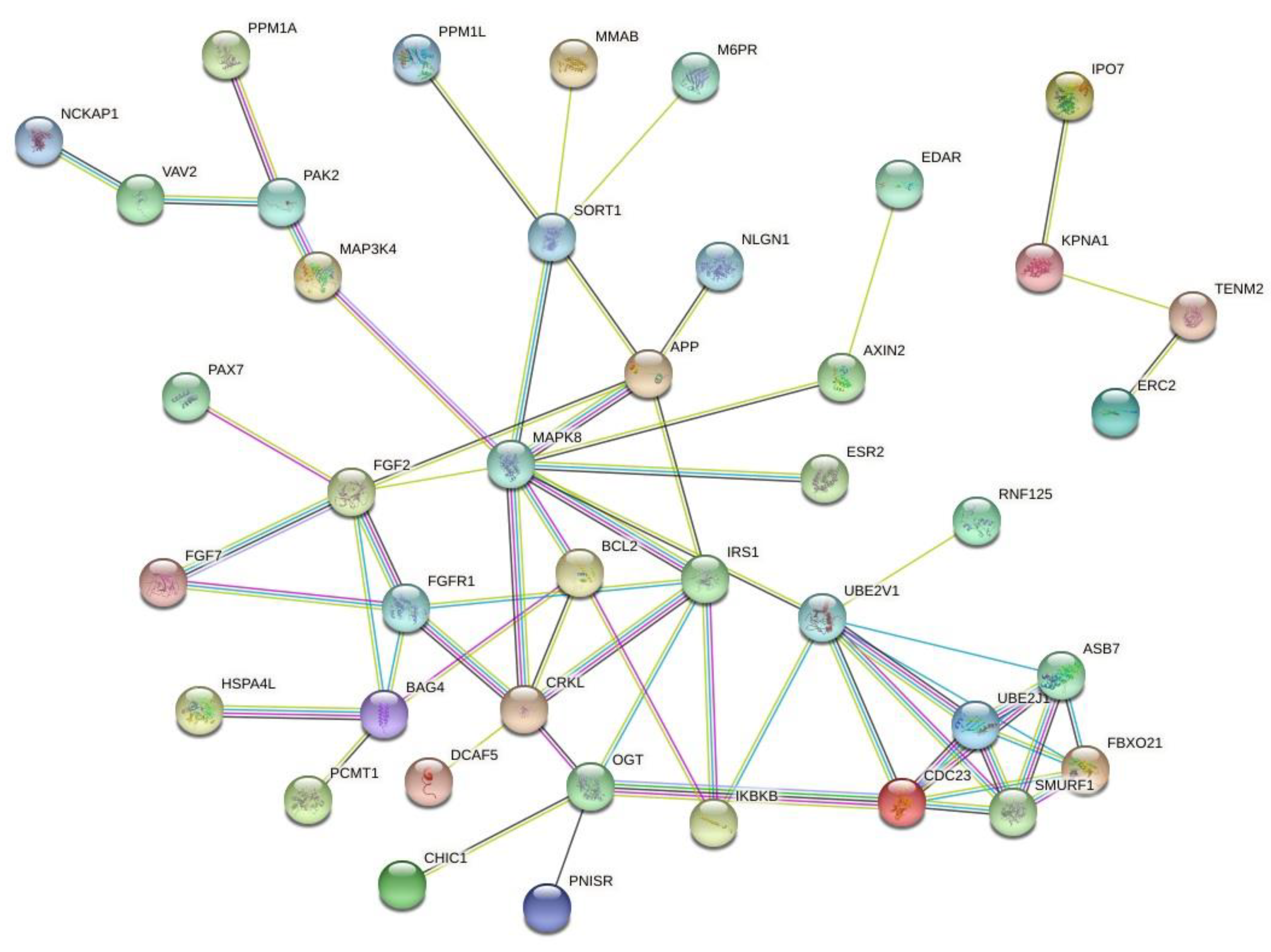 Pharmaceutics 12 01193 g003 Pharmaceutics 12 01193 g003