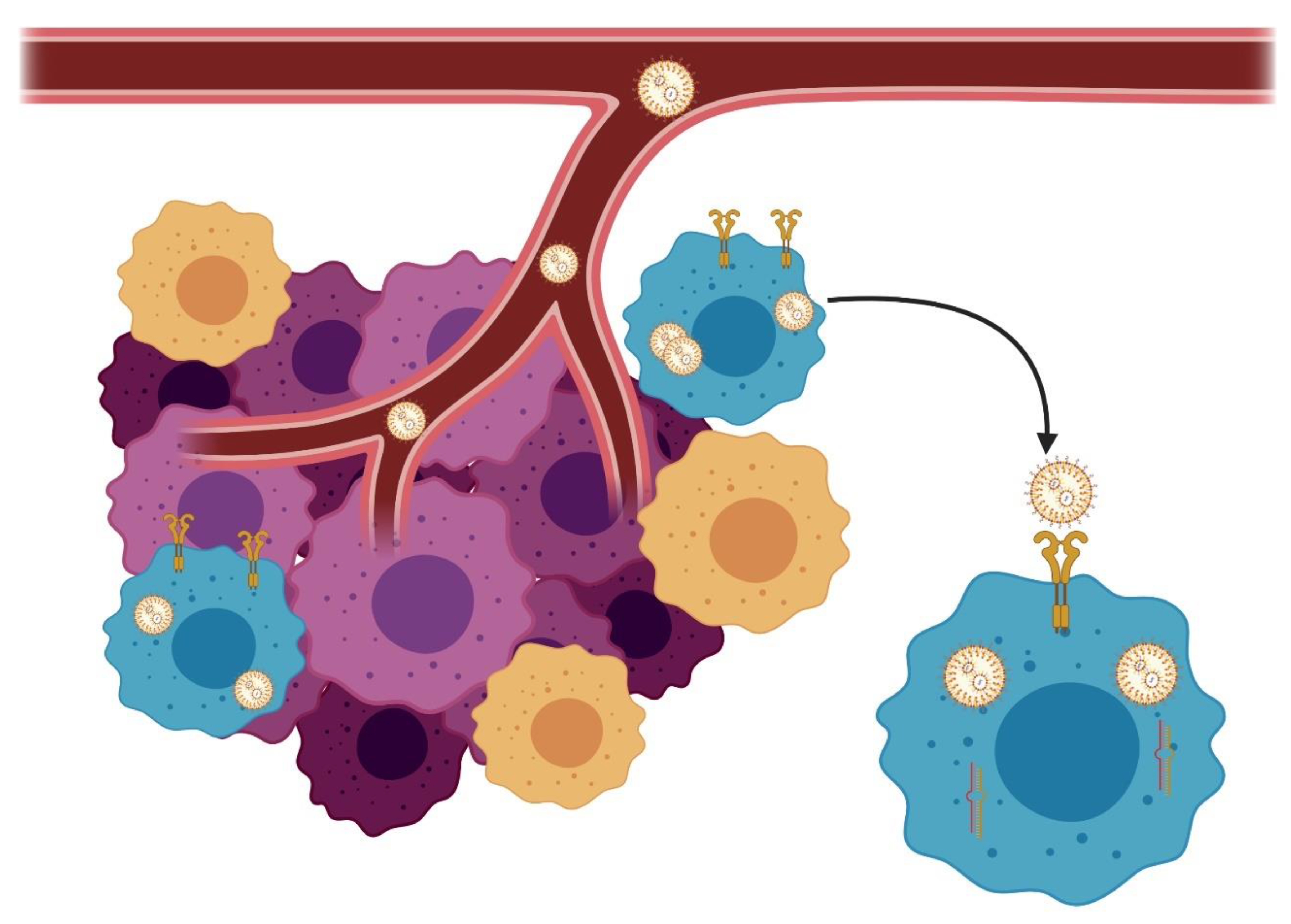 Pharmaceutics 12 01193 g004 Pharmaceutics 12 01193 g004