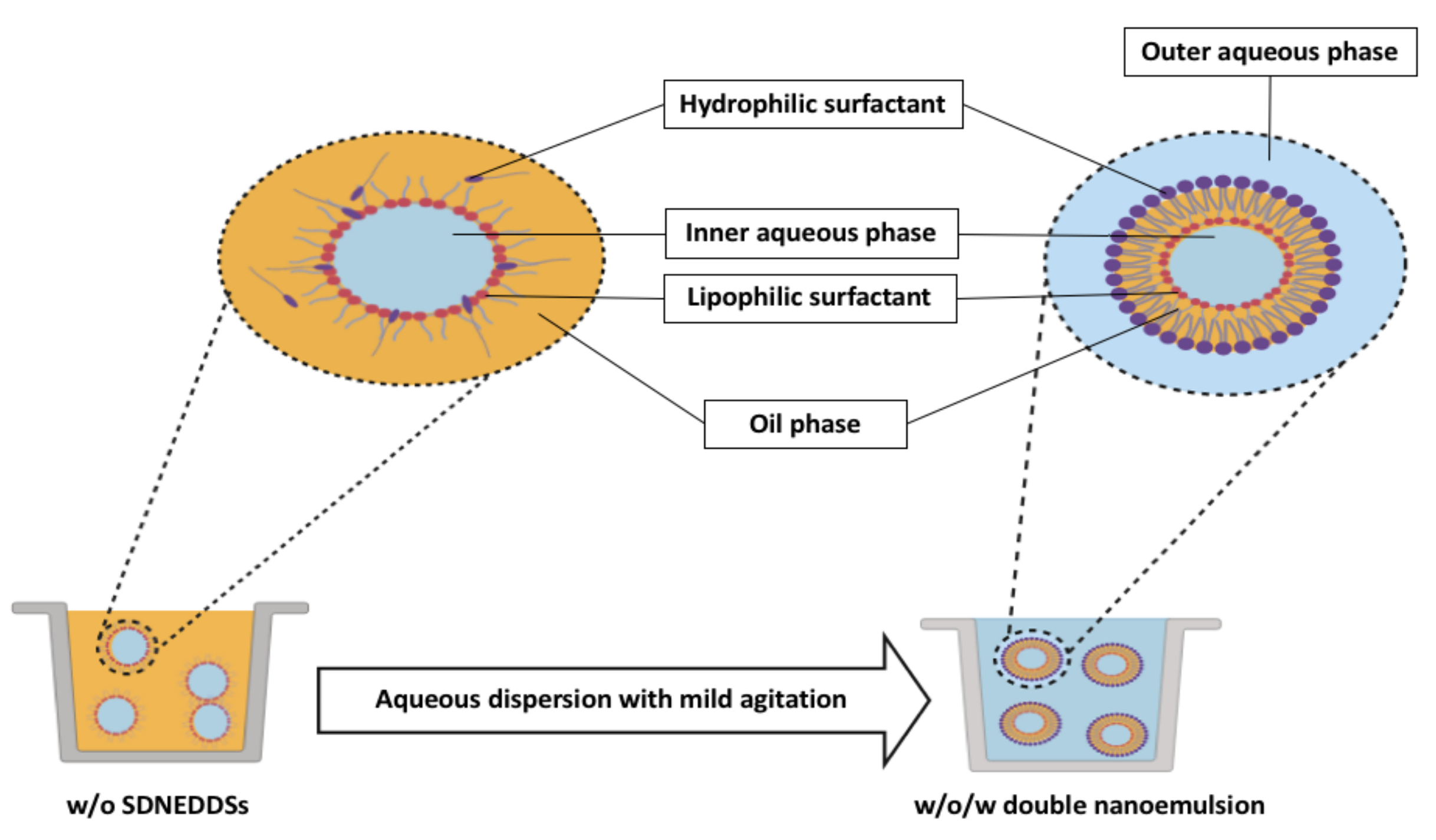 Pharmaceutics 12 01194 g008 Pharmaceutics 12 01194 g008