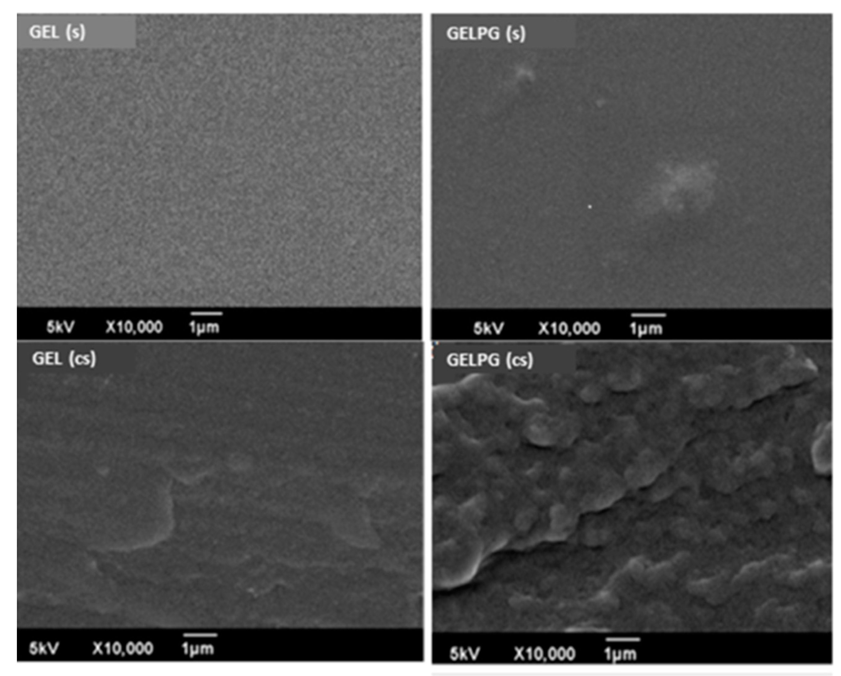 Pharmaceutics 12 01204 g003 Pharmaceutics 12 01204 g003