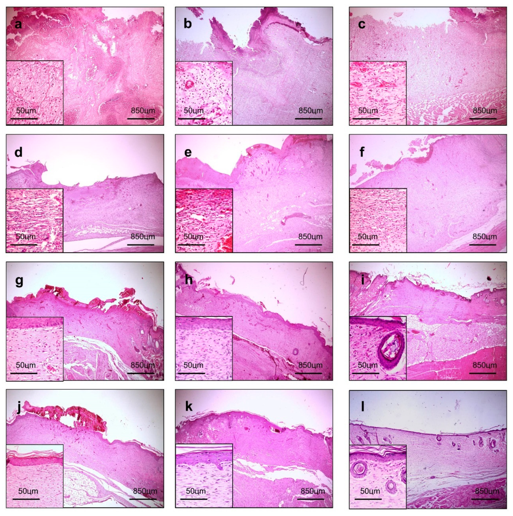 Pharmaceutics 12 01204 g006 Pharmaceutics 12 01204 g006