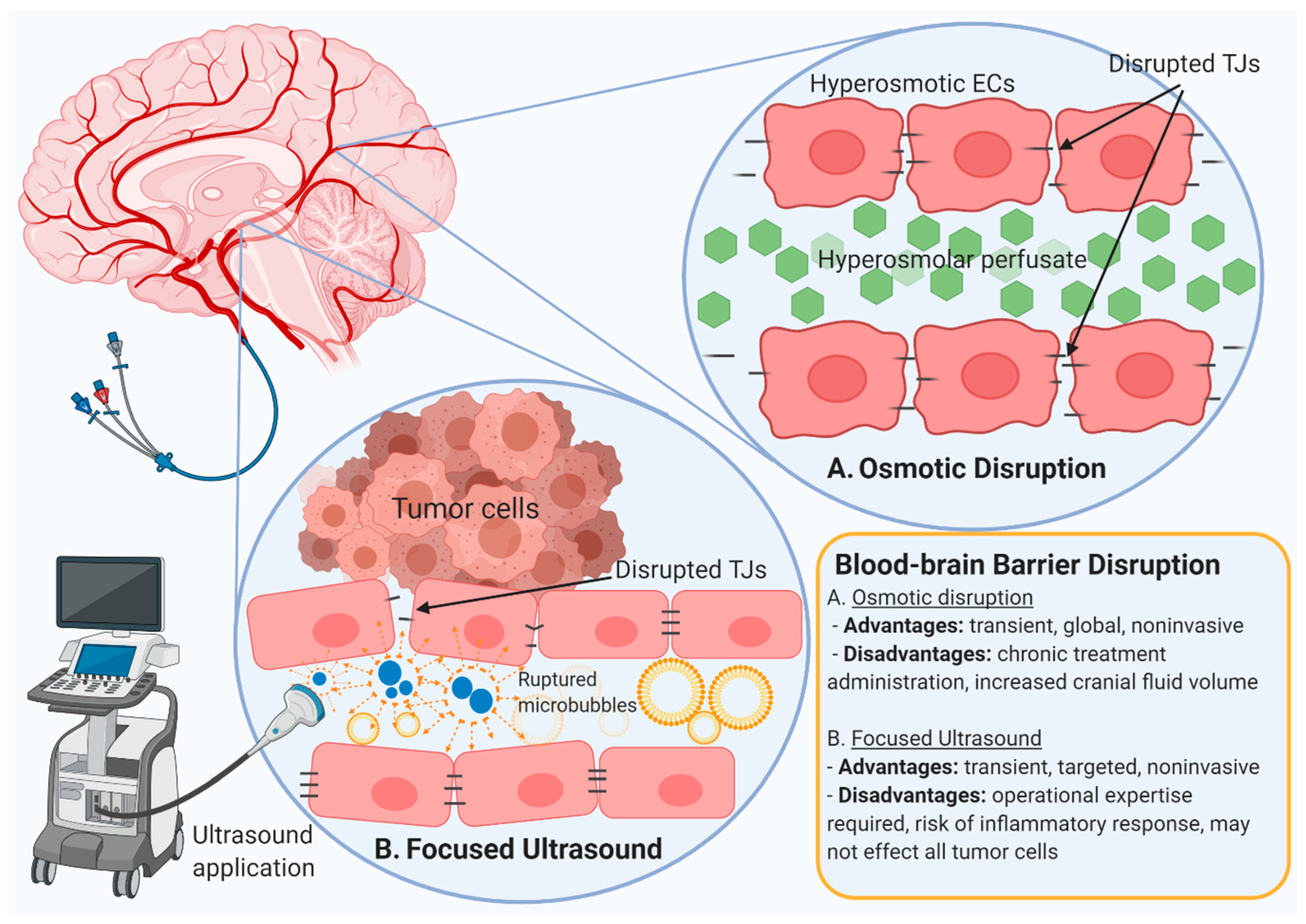 Pharmaceutics 12 01205 g004