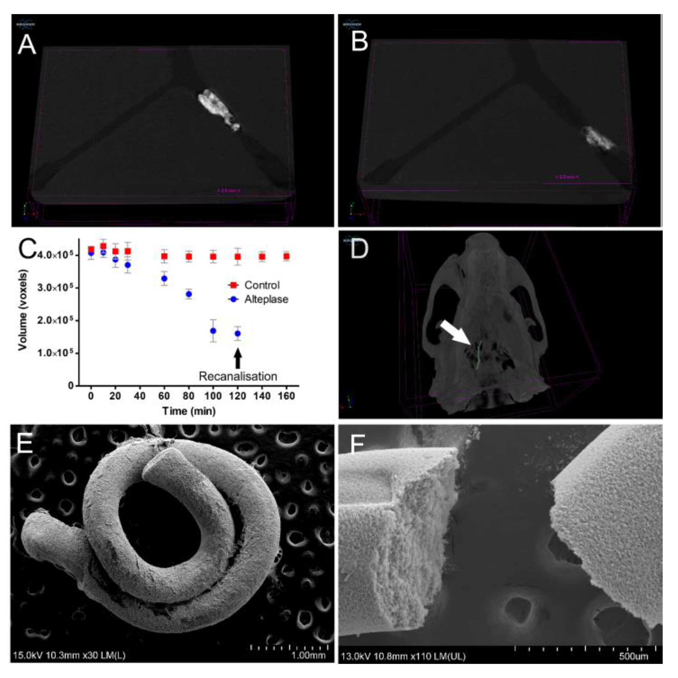 Pharmaceutics 12 01207 g006