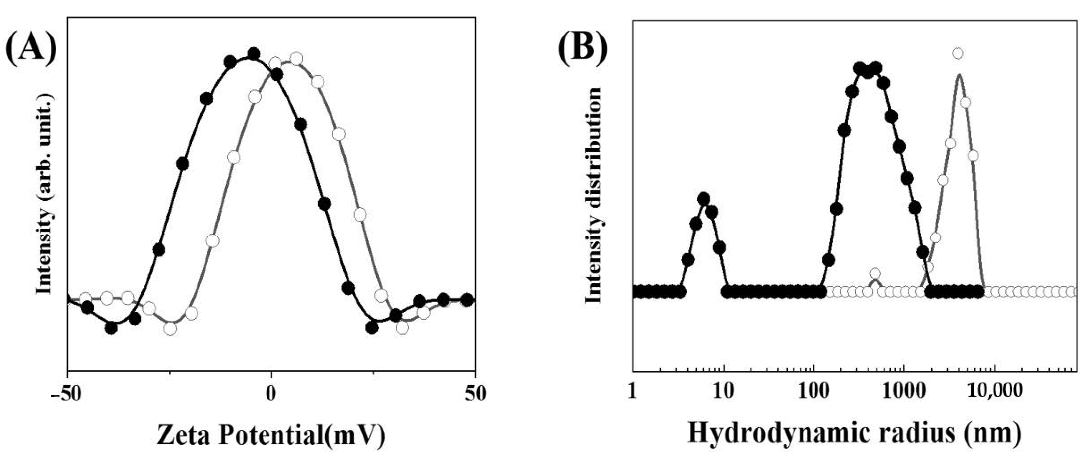 Pharmaceutics 12 01210 g003